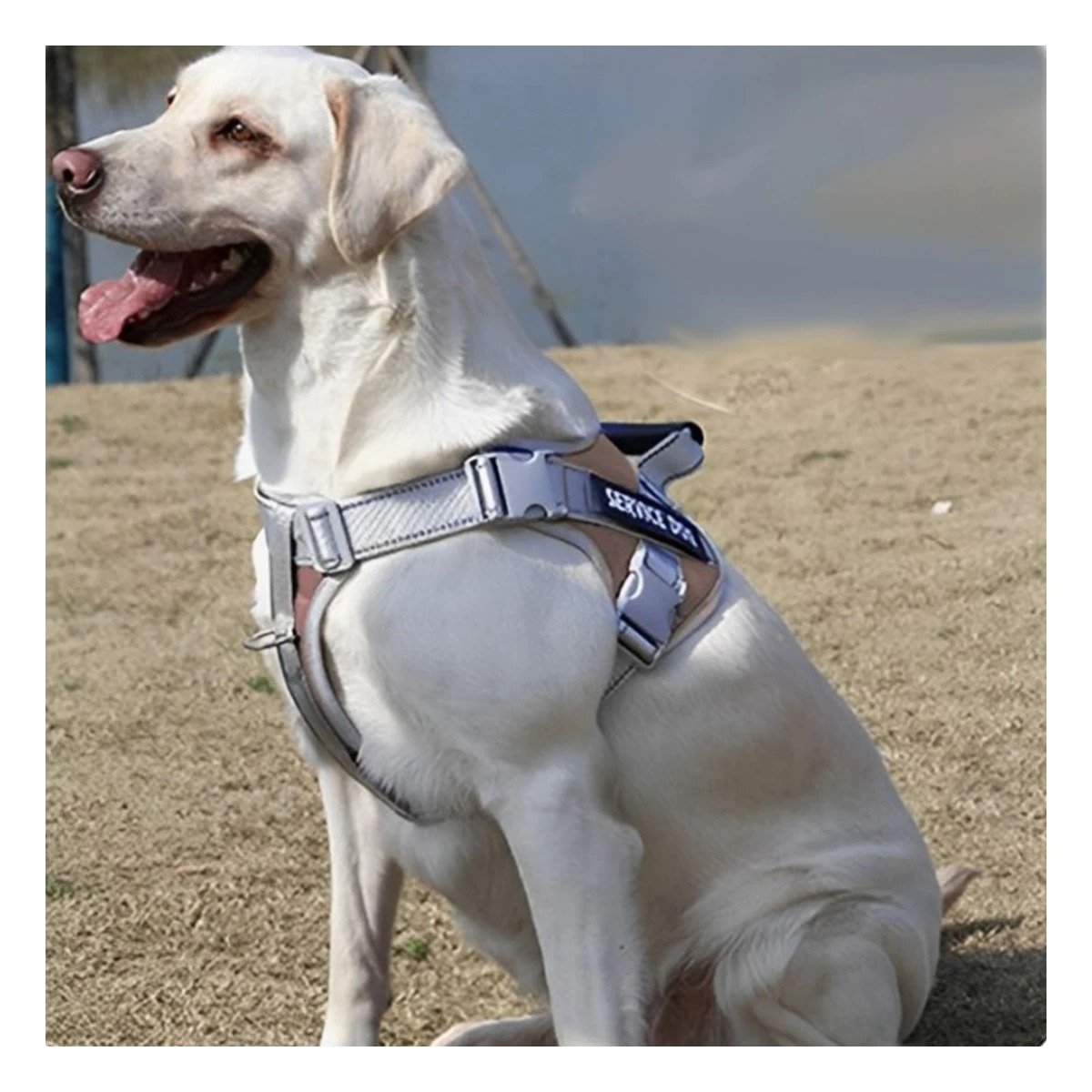 PACK6 ARNES DE CONTROL SERVICE DOG TALLA S MARRON CON ASA SUPERIOR Y+REGALO STICKER - 1