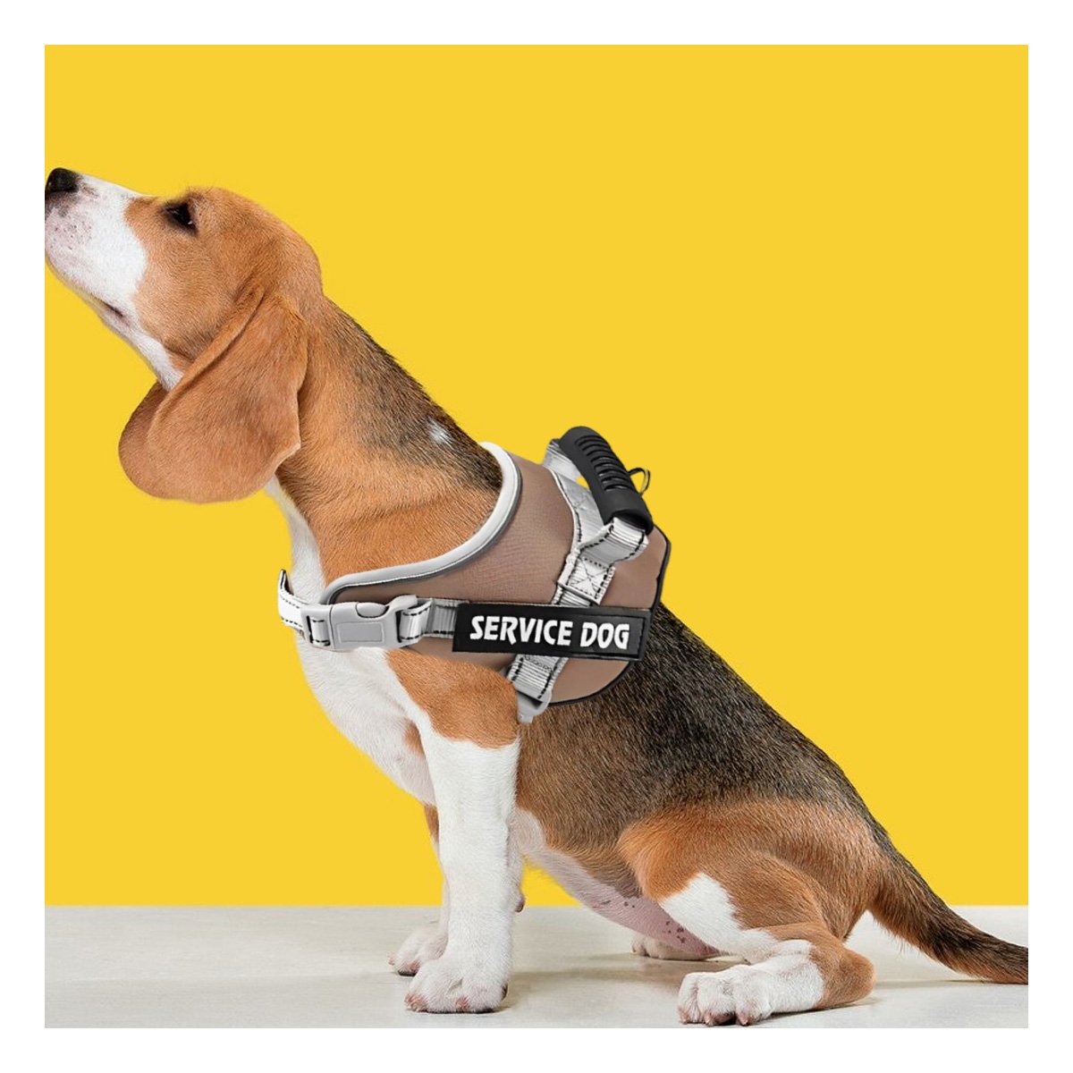 PACK6 ARNES DE CONTROL SERVICE DOG TALLA S MARRON CON ASA SUPERIOR Y+REGALO STICKER - 3