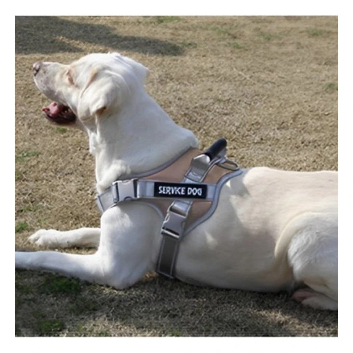 PACK6 ARNES DE CONTROL SERVICE DOG TALLA S MARRON CON ASA SUPERIOR Y+REGALO STICKER - 5