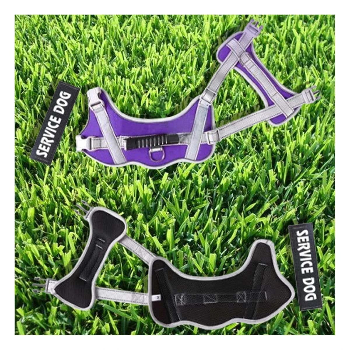 PACK4 CHALECO DE CONTROL CON ASA SUPERIOR PARA PERRO SERVICE DOG TALLA S MORADO - 3