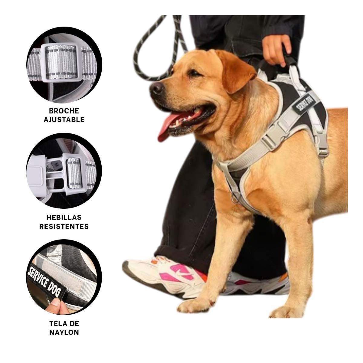 ARNES SEGURO PECHERA CHALECO CON ASA SERVICE DOG TALLA M MORADO CON REFLECTANTE - 3