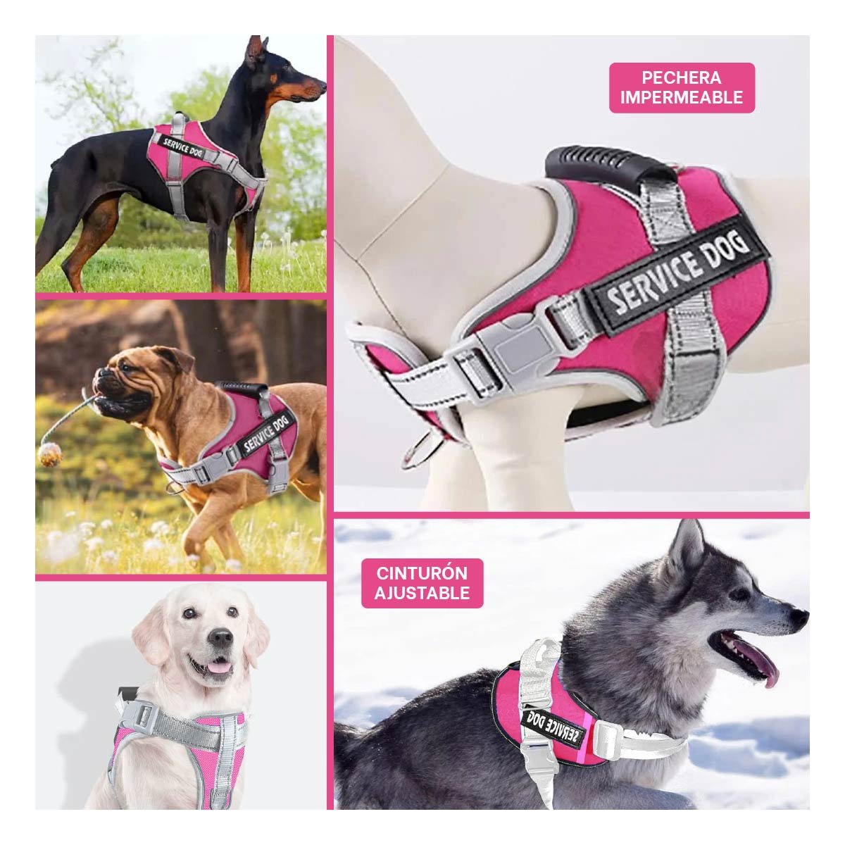PECHERA DE SOPORTE SERVICE DOG TALLA S FUCSIA CON ASA Y AJUSTE PRECISO - 5