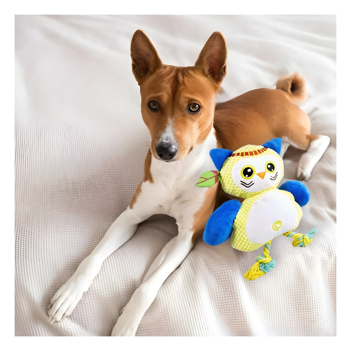 JUGUETE PARA PERRO BUHO AMARILLO CON CUERPO BLANDO Y SEGURO Y+REGALO STICKER - 5