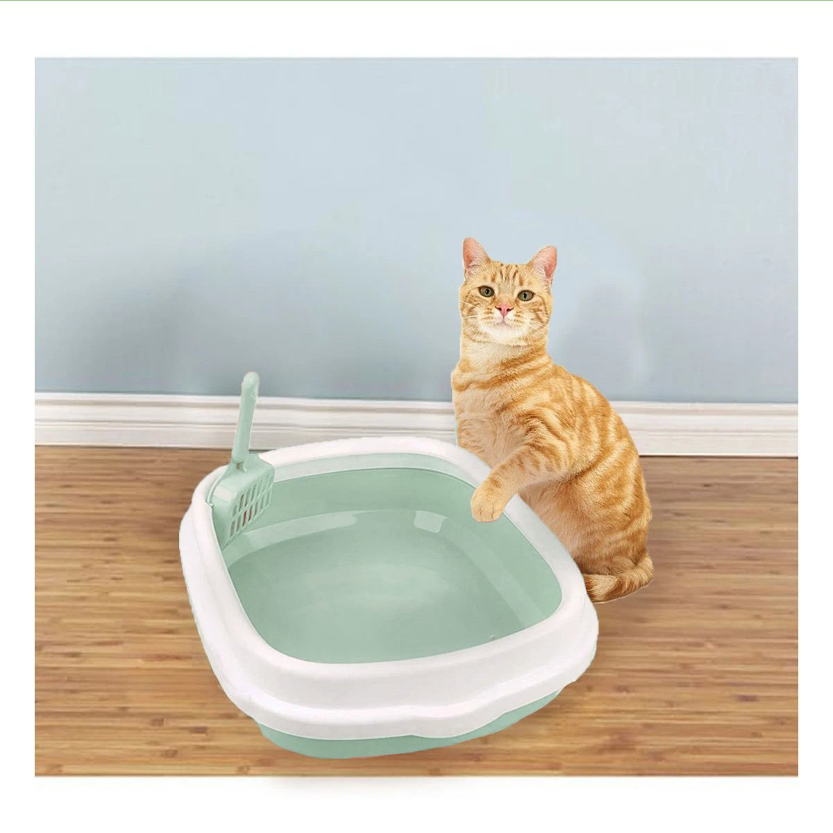 ARENERO VERDE PARA GATO CON PALA CERNIDORA 48X40X12,5 Y+LIGAS REGALO - 2