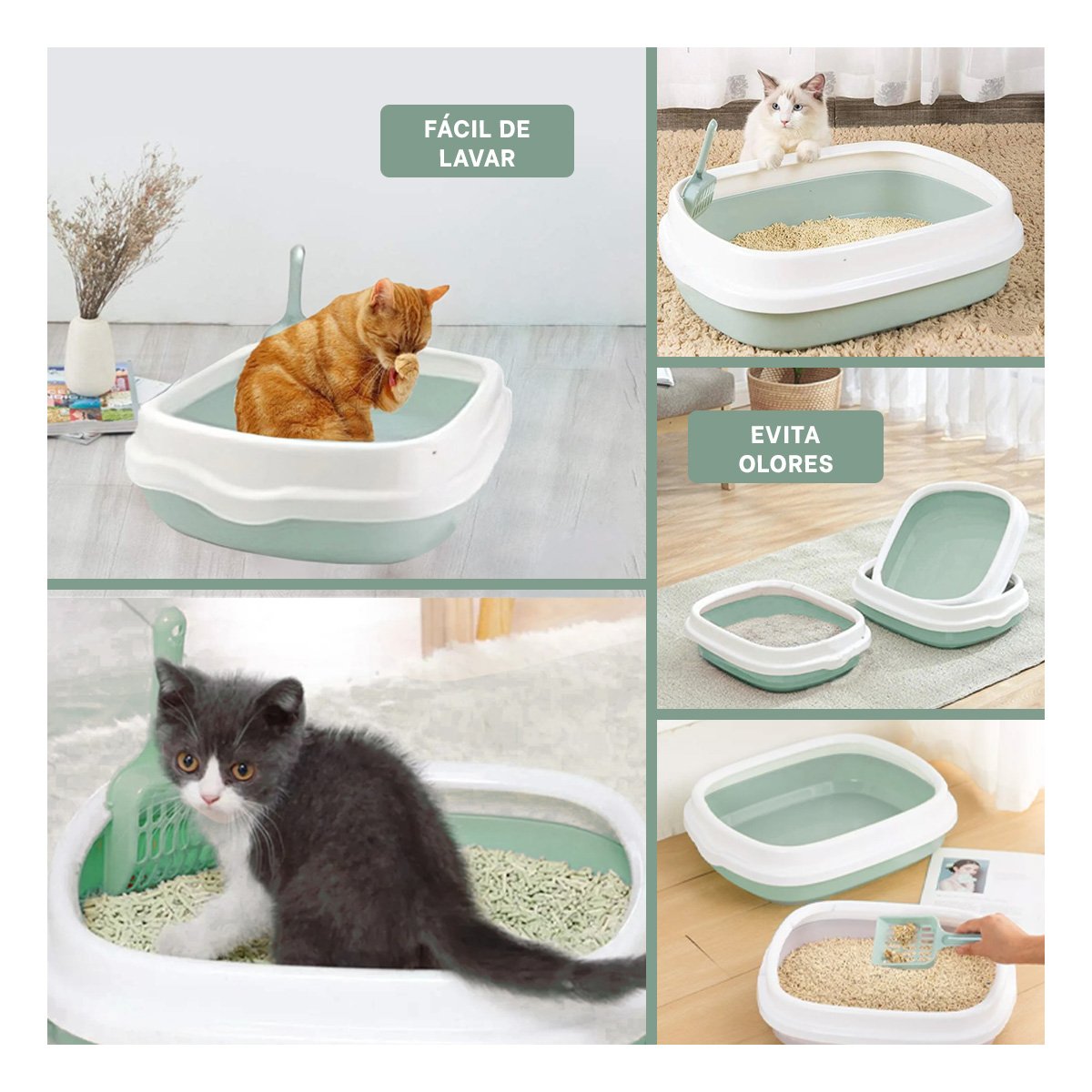 ARENERO VERDE PARA GATO CON PALA CERNIDORA 48X40X12,5 Y+LIGAS REGALO - 5