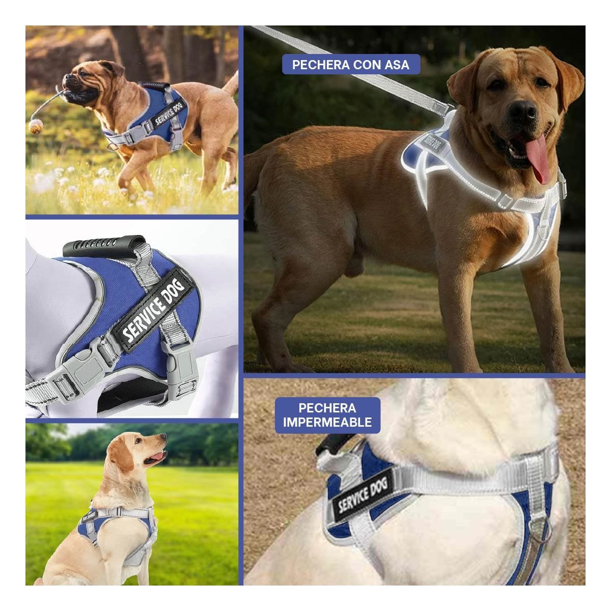 PECHERA CON ASA SERVICE DOG TALLA S AZUL ESTILO CHALECO AJUSTABLE Y+LIGAS REGALO - 5
