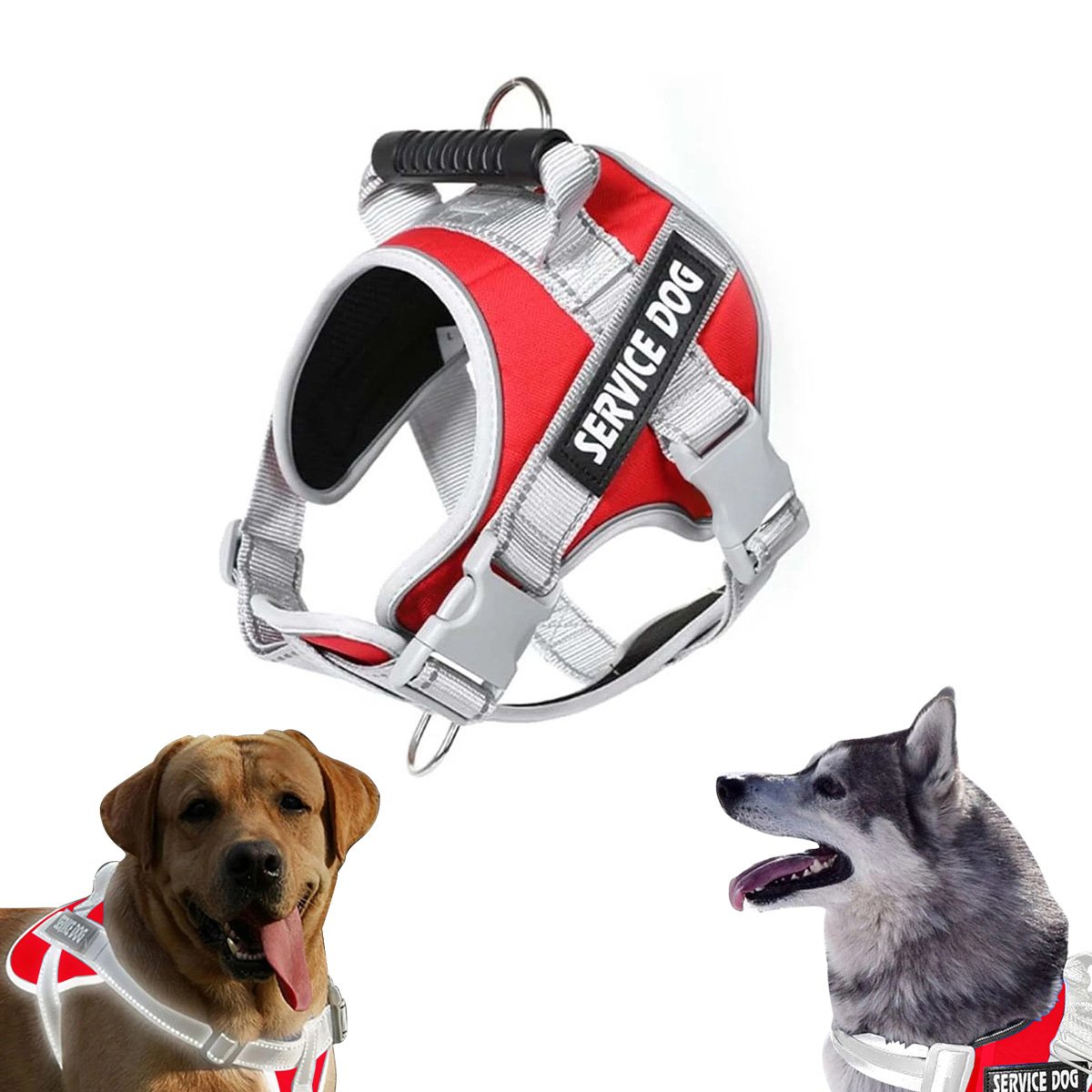 PECHERA CON ASA SERVICE DOG TALLA S ROJO ESTILO CHALECO AJUSTABLE Y+LIGAS REGALO - 3