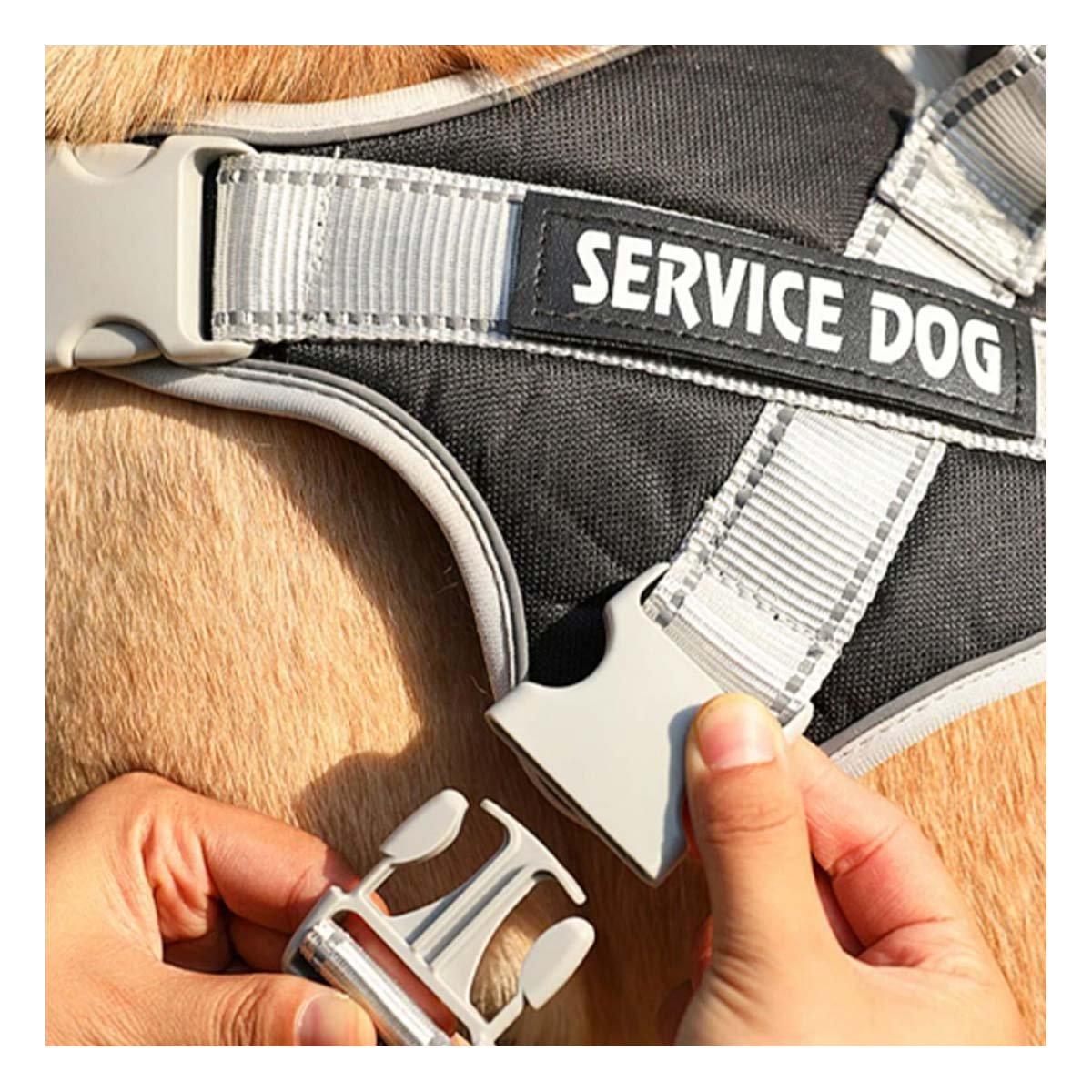 PECHERA DURABLE ARNES CHALECO CON ASA SERVICE DOG TALLA M MORADO Y+REGALO STICKER - 2