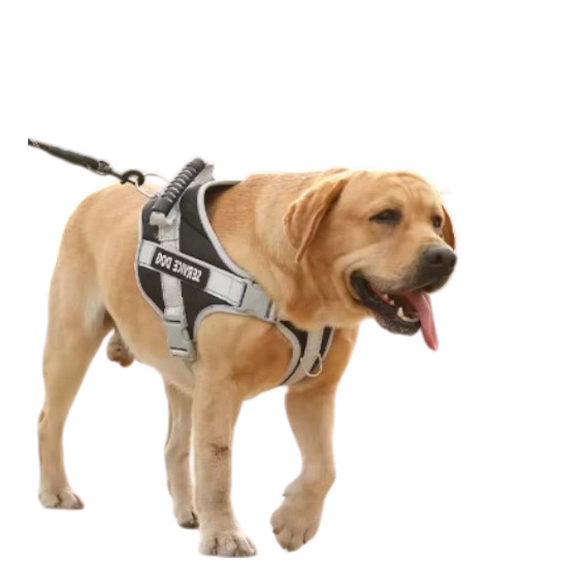 PECHERA DURABLE ARNES CHALECO CON ASA SERVICE DOG TALLA M MORADO Y+REGALO STICKER - 3