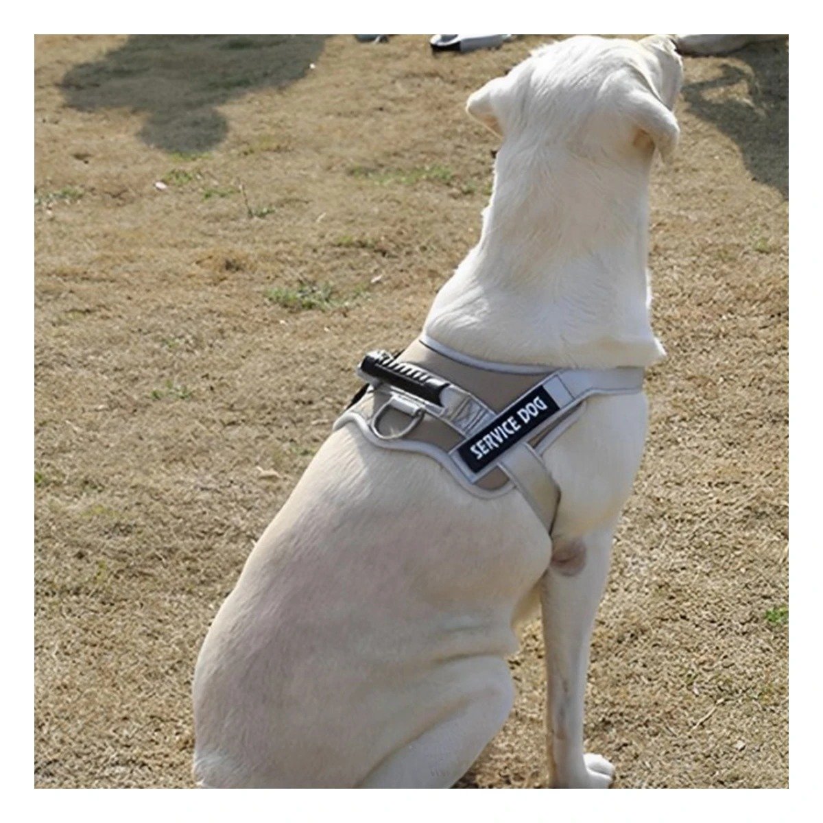 PACK2 PECHERA ARNES SERVICE DOG TALLA S MARRON CON ASA Y AJUSTE SEGURO Y+PAPEL REGALO - 2