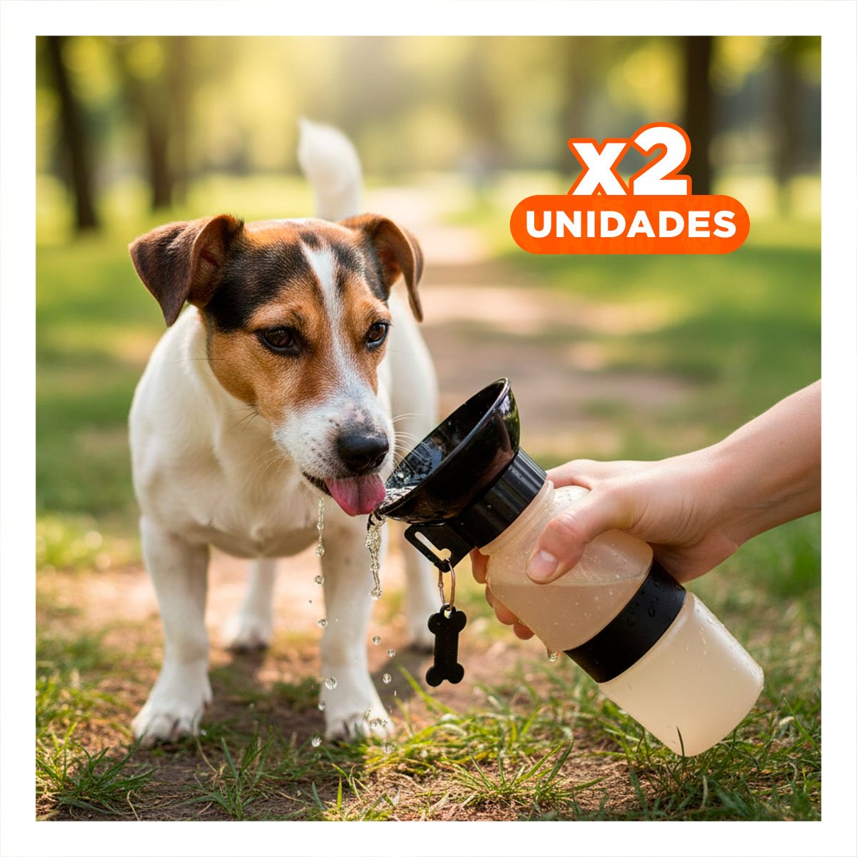 PACK2 RECIPIENTE DE AGUA PARA MASCOTA AQUA DOG GRIS Y+REGALO STICKER - 1