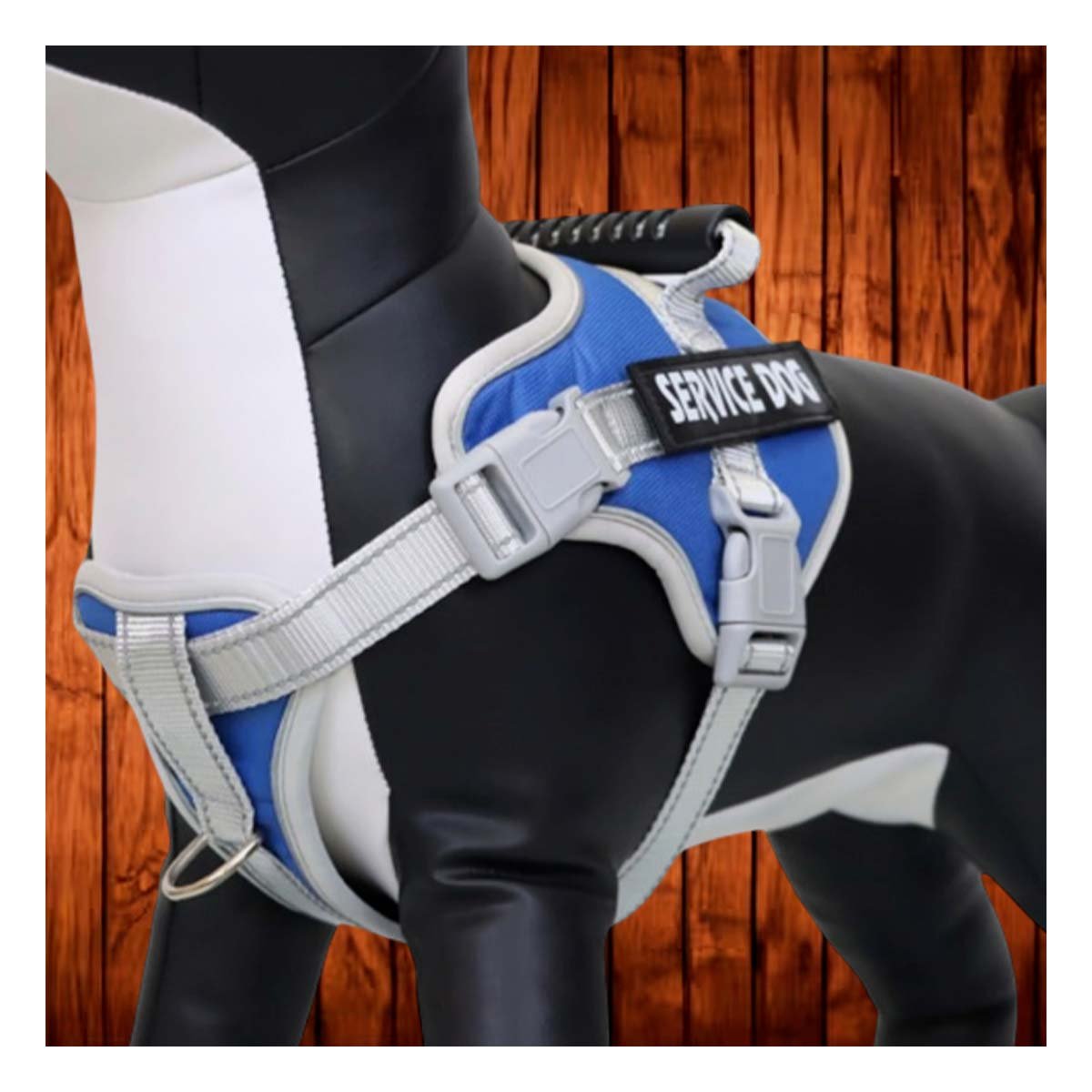 PACK4 CHALECO PROFESIONAL PECHERA ARNES CON ASA SERVICE DOG TALLA L AZUL Y+REGALO STICKER - 5