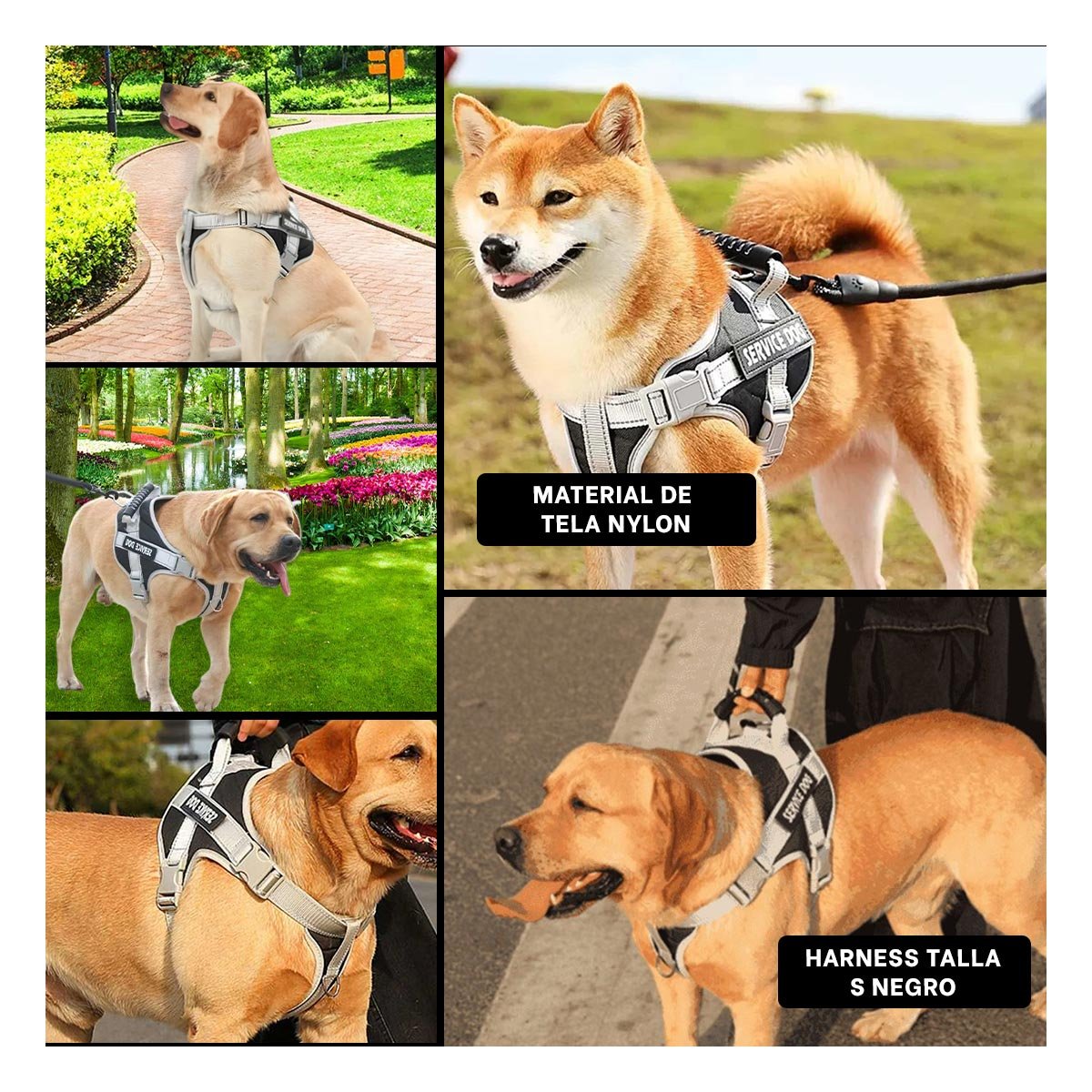 PACK6 PECHERA CON ASA PARA PERRO TALLA S NEGRO ESTILO CHALECO SEGURO Y+PAPEL REGALO - 3