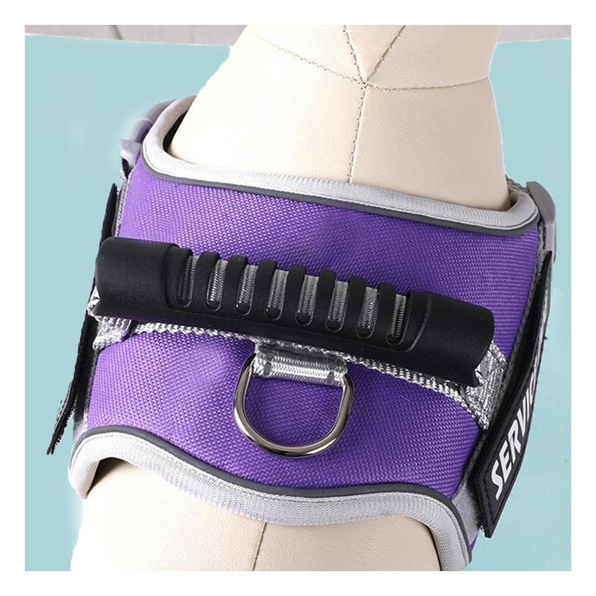 PACK2 ARNES CON ASA DE ENTRENAMIENTO PARA PERRO SERVICE DOG TALLA S MORADO Y+PAPEL REGALO - 5