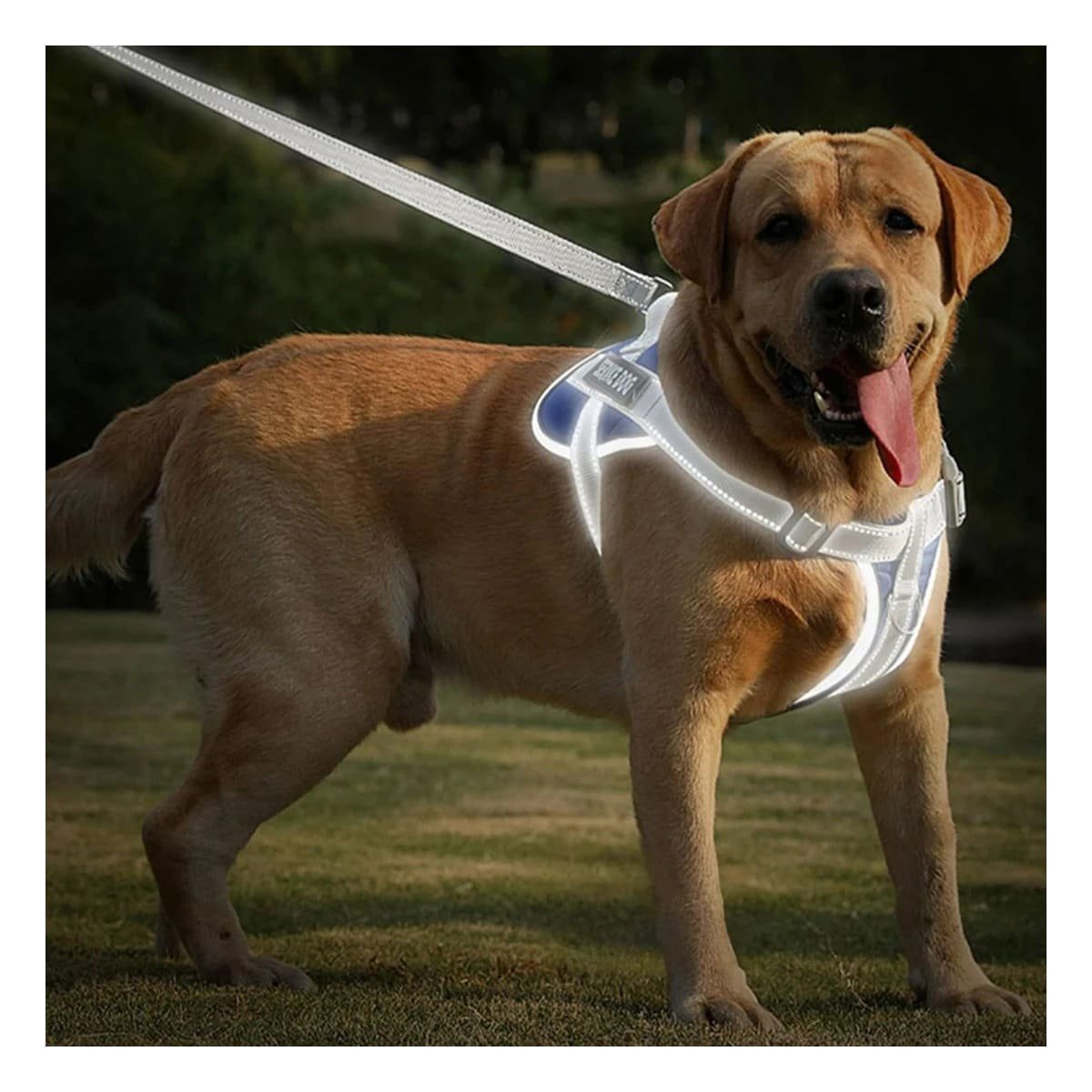 PACK2 CHALECO AJUSTABLE SERVICE DOG TALLA S AZUL CON ASA SUPERIOR REFORZADA - 3