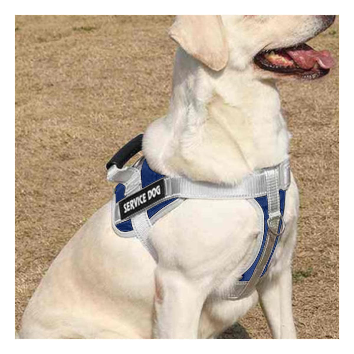 PACK2 CHALECO AJUSTABLE SERVICE DOG TALLA S AZUL CON ASA SUPERIOR REFORZADA - 5