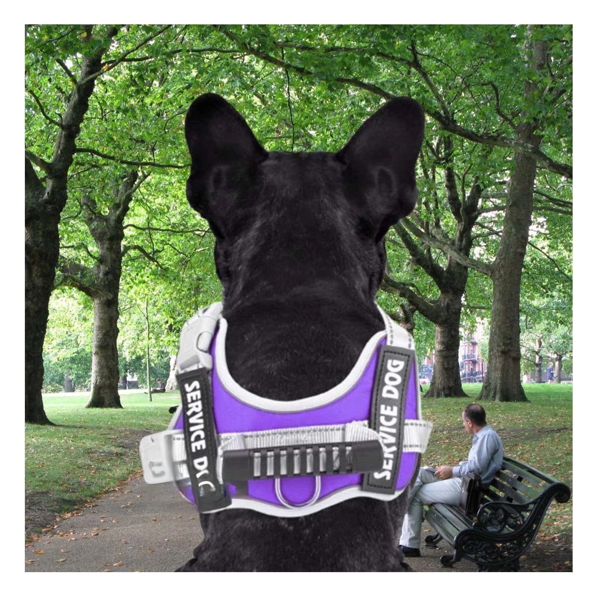PACK6 CHALECO TIPO ARNES CON ASA SUPERIOR PARA PERRO SERVICE DOG TALLA S MORADO Y+PAPEL REGALO - 2