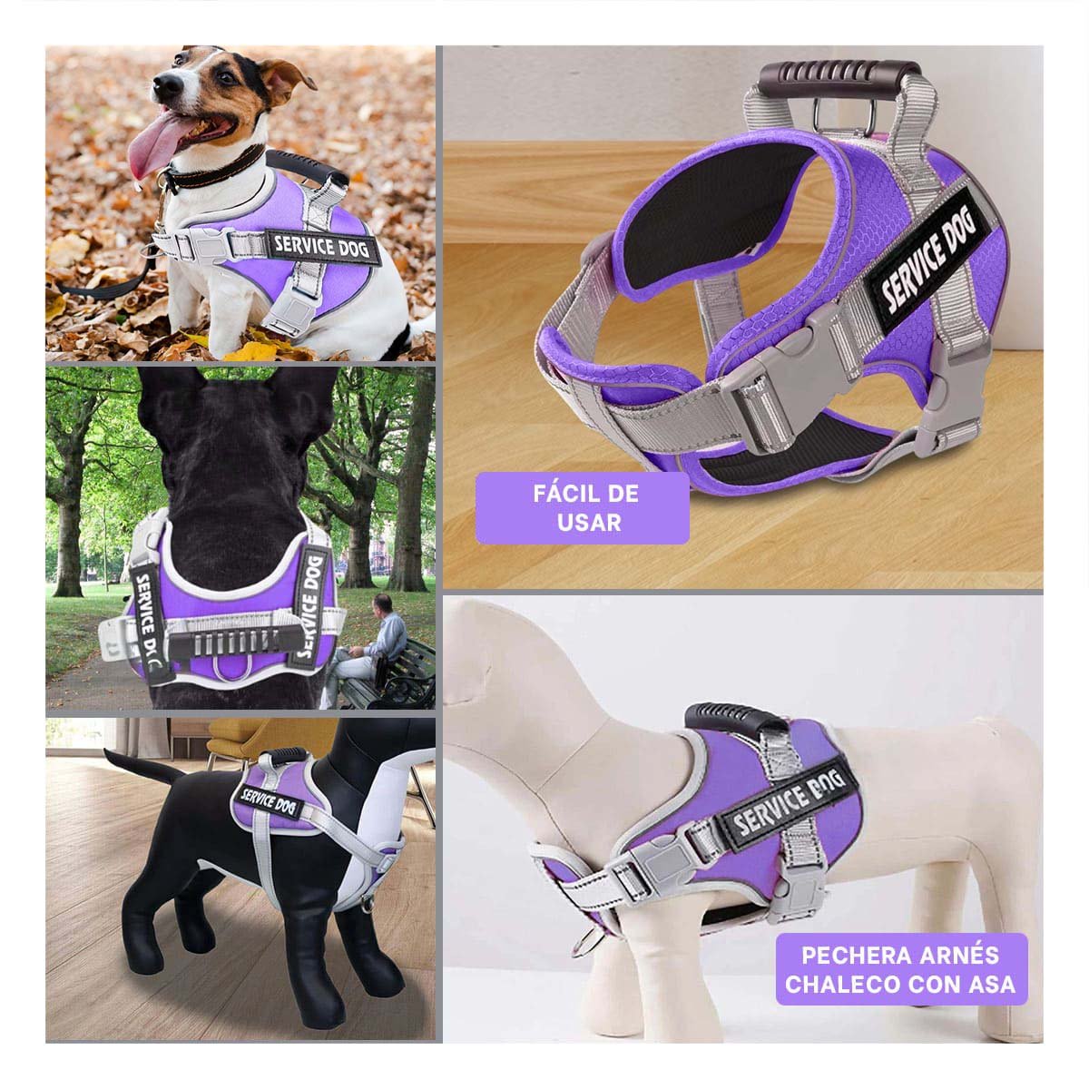 PACK6 CHALECO TIPO ARNES CON ASA SUPERIOR PARA PERRO SERVICE DOG TALLA S MORADO Y+PAPEL REGALO - 3