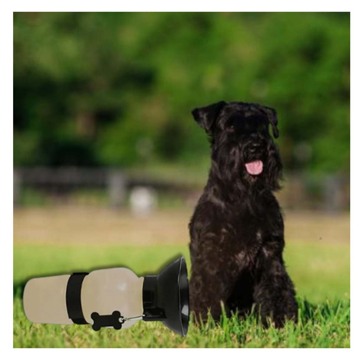 PACK12 CONTENEDOR GRIS AQUA DOG PARA AGUA DE MASCOTA Y+REGALO STICKER - 3