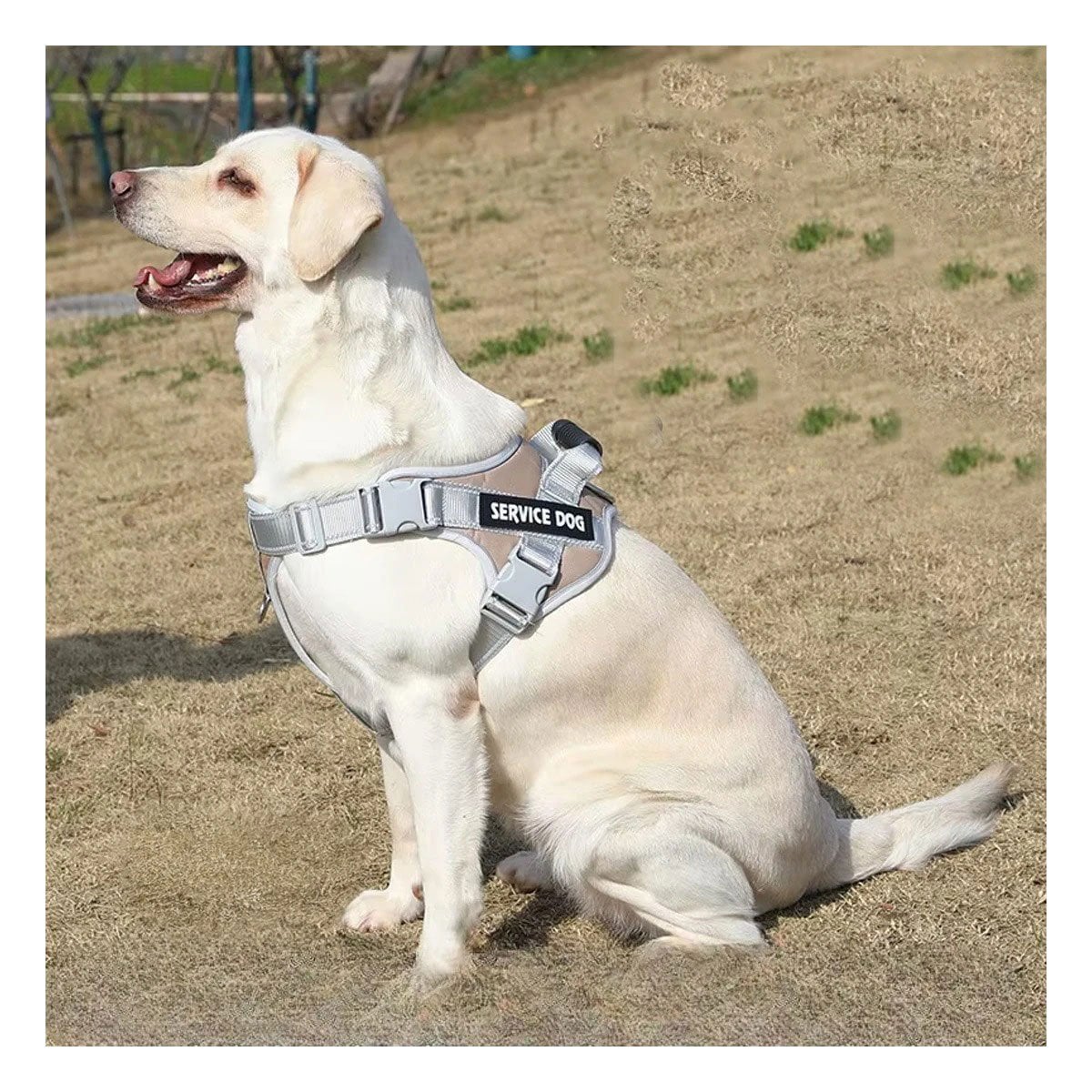 CHALECO ARNES CON ASA SERVICE DOG TALLA S MARRON COMODO Y+REGALO STICKER - 2