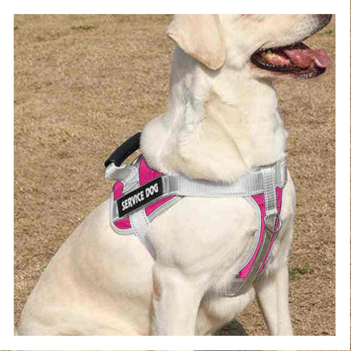 PACK2 PECHERA ARNES SERVICE DOG TALLA S FUCSIA CON ASA Y HEBILLAS RESISTENTES Y+PAPEL REGALO - 5