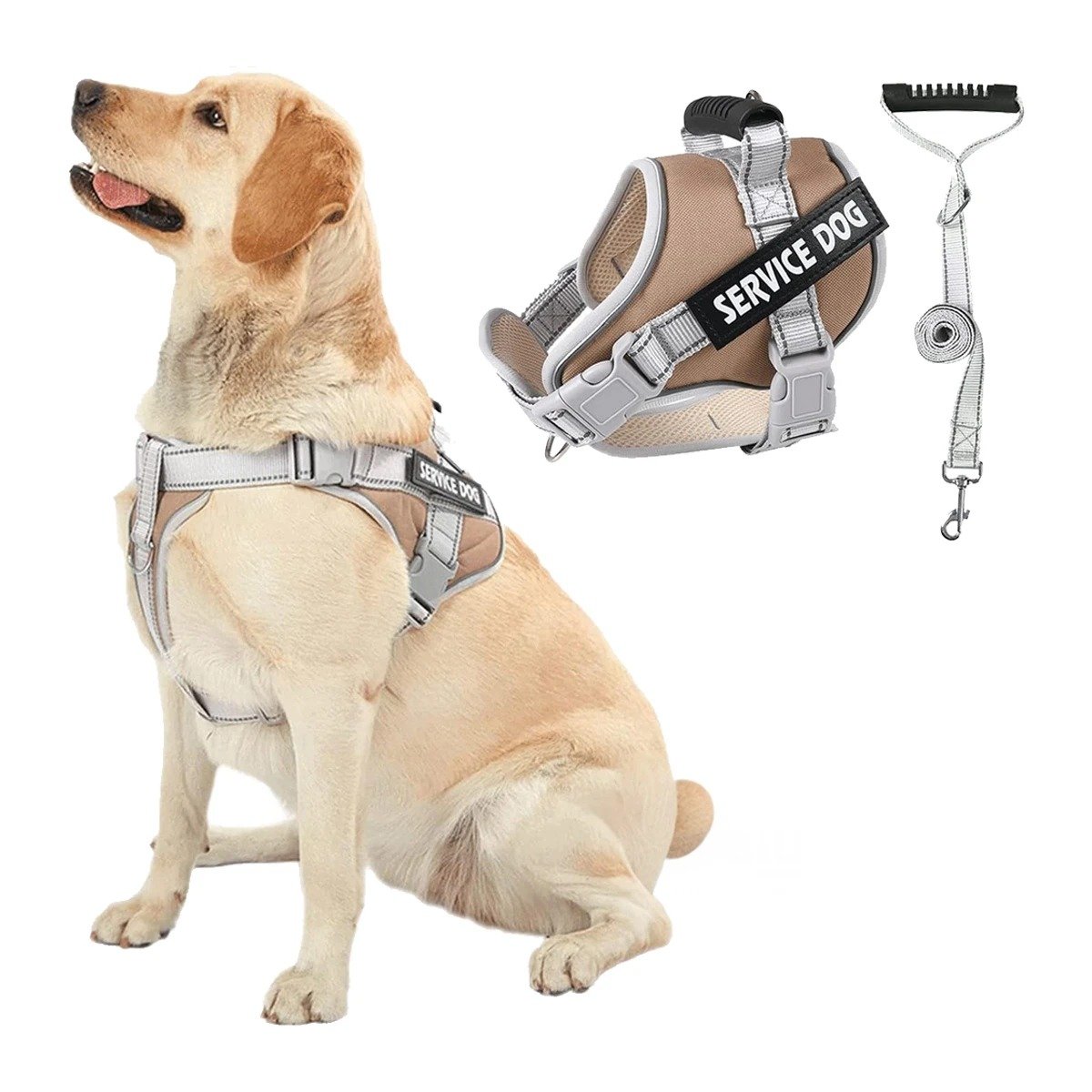 PECHERA CON ASA SERVICE DOG TALLA S MARRON PARA CONTROL Y+LIGAS REGALO - 3