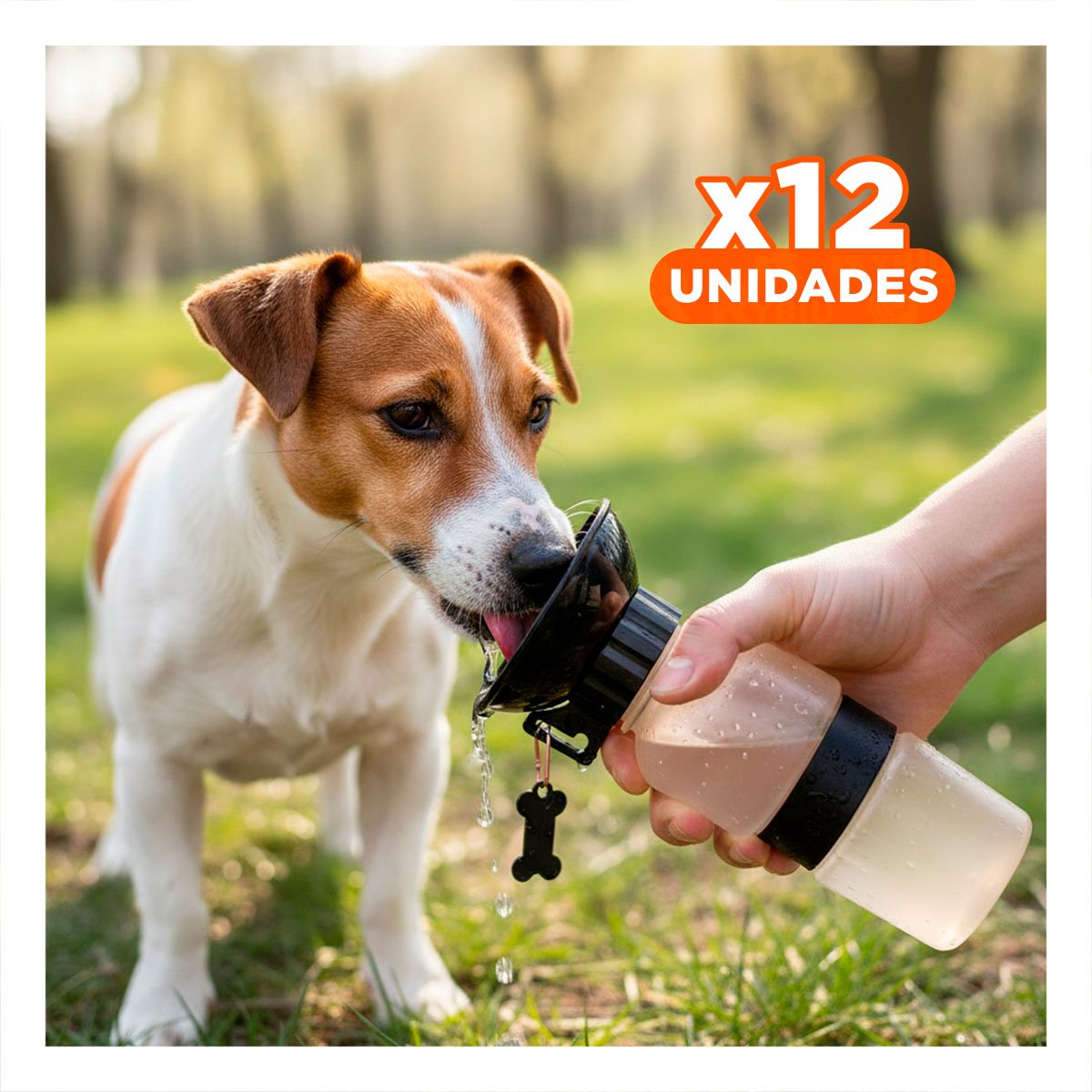 PACK12 ENVASE GRIS AQUA DOG PARA AGUA DE MASCOTA PRACTICO - 1
