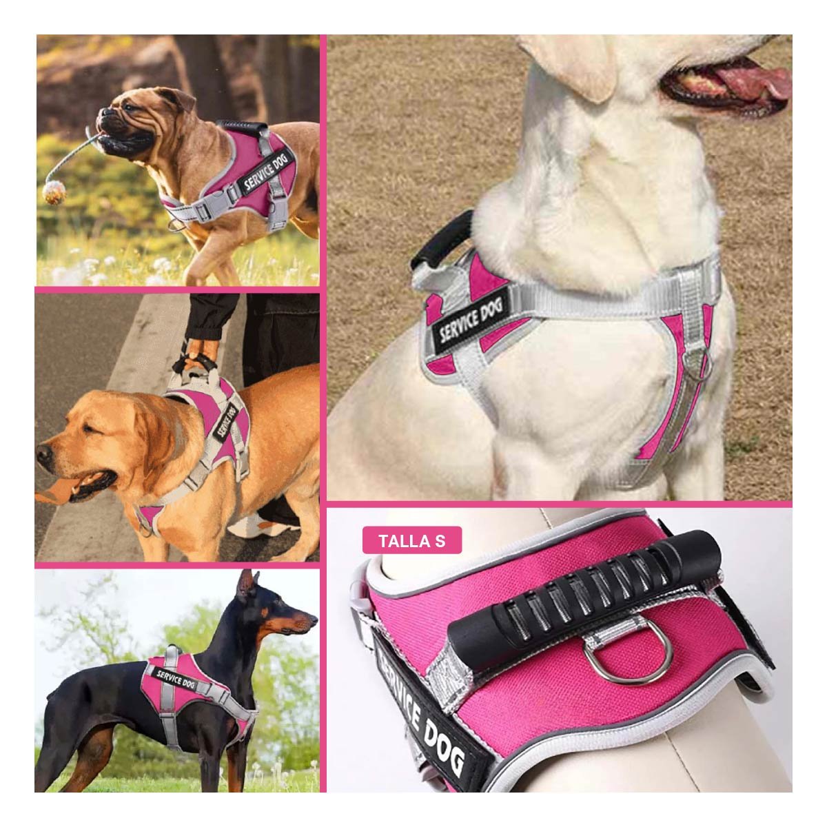 PACK6 PECHERA ACOLCHADA SERVICE DOG TALLA S FUCSIA CON ASA Y SOPORTE ESTABLE Y+PAPEL REGALO - 3