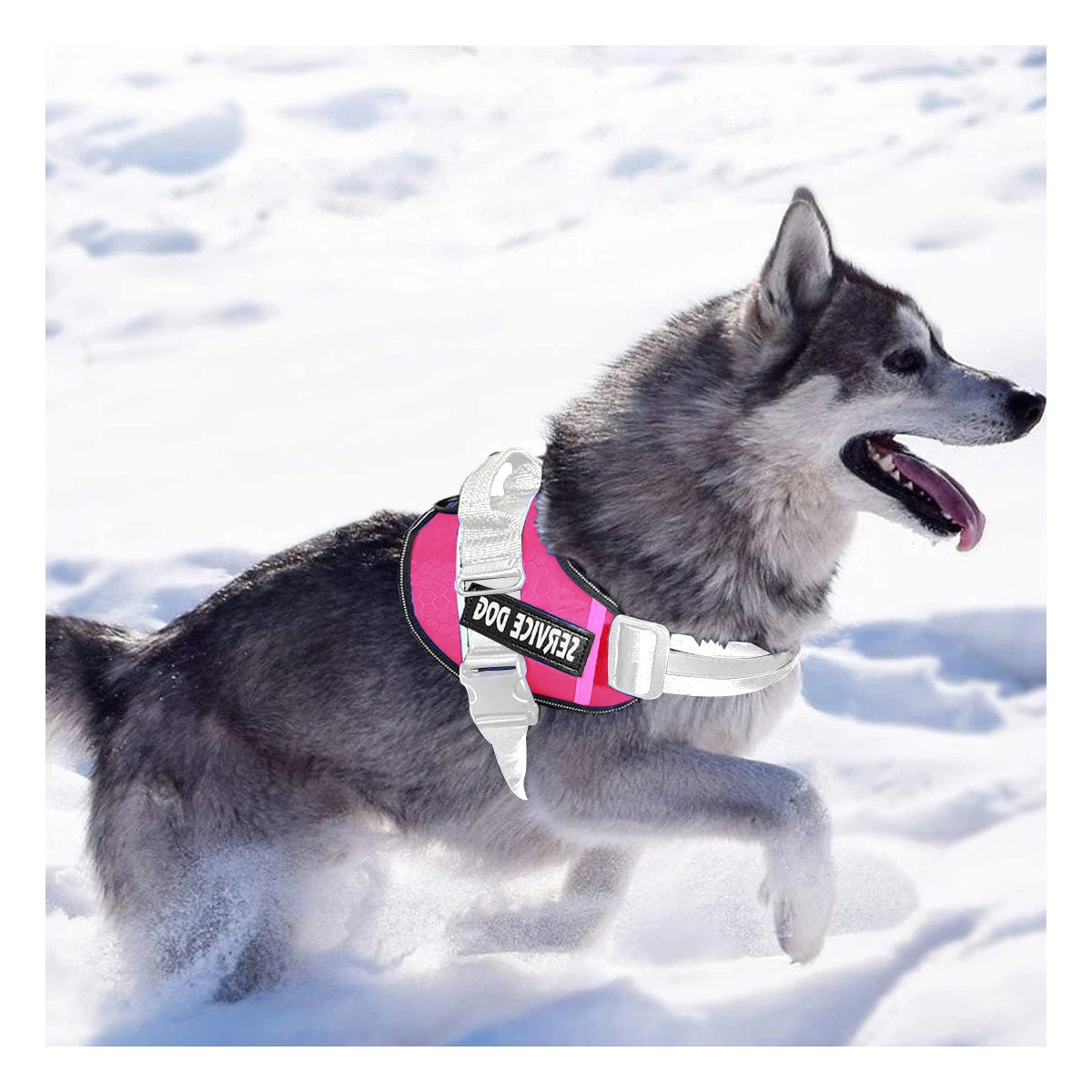 PACK4 PECHERA DE ENTRENAMIENTO SERVICE DOG TALLA S FUCSIA CON ASA FIRME Y+PAPEL REGALO - 2