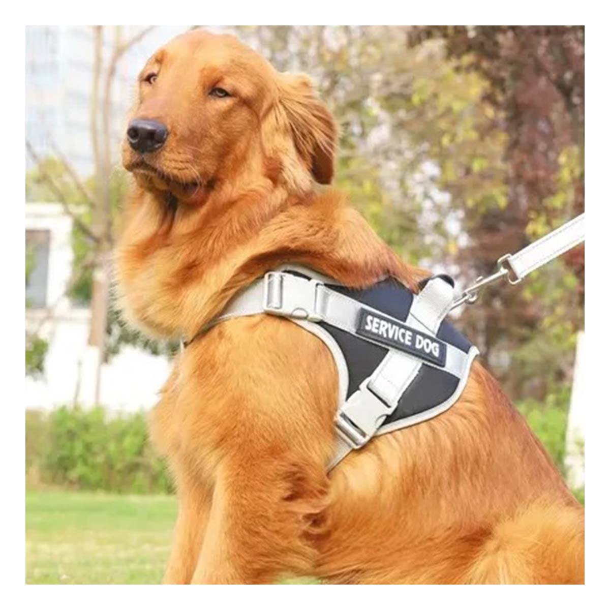CHALECO MORADO ARNES PECHERA CON ASA SERVICE DOG TALLA M PARA PASEOS LARGOS Y+PAPEL REGALO - 5