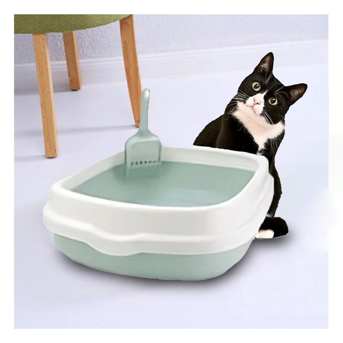 PACK4 SISTEMA VERDE PARA GATO CON PALA CERNIDORA 48X40X12,5 Y+PAPEL REGALO - 2