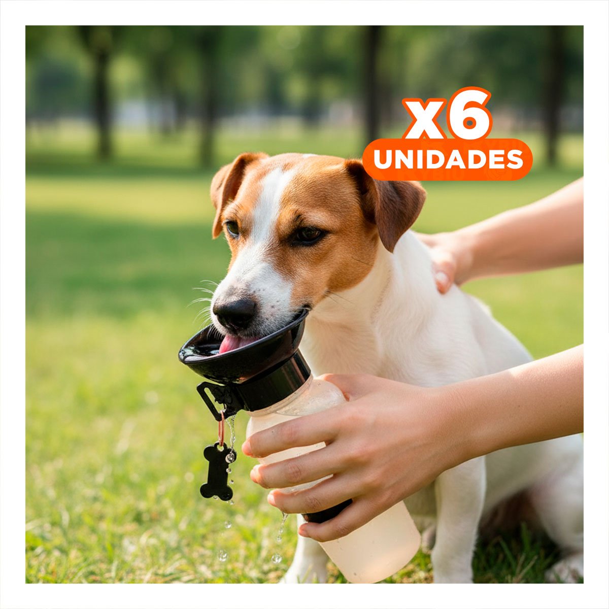 PACK6 BOTELLA GRIS AQUA DOG PARA MASCOTA CON DISENO PORTATIL Y+REGALO STICKER - 1
