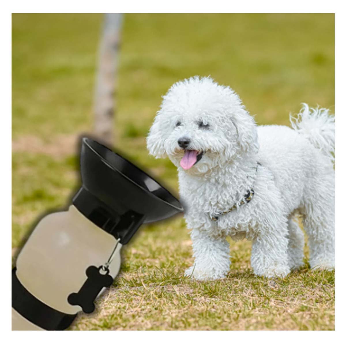 PACK6 BOTELLA GRIS AQUA DOG PARA MASCOTA CON DISENO PORTATIL Y+REGALO STICKER - 5