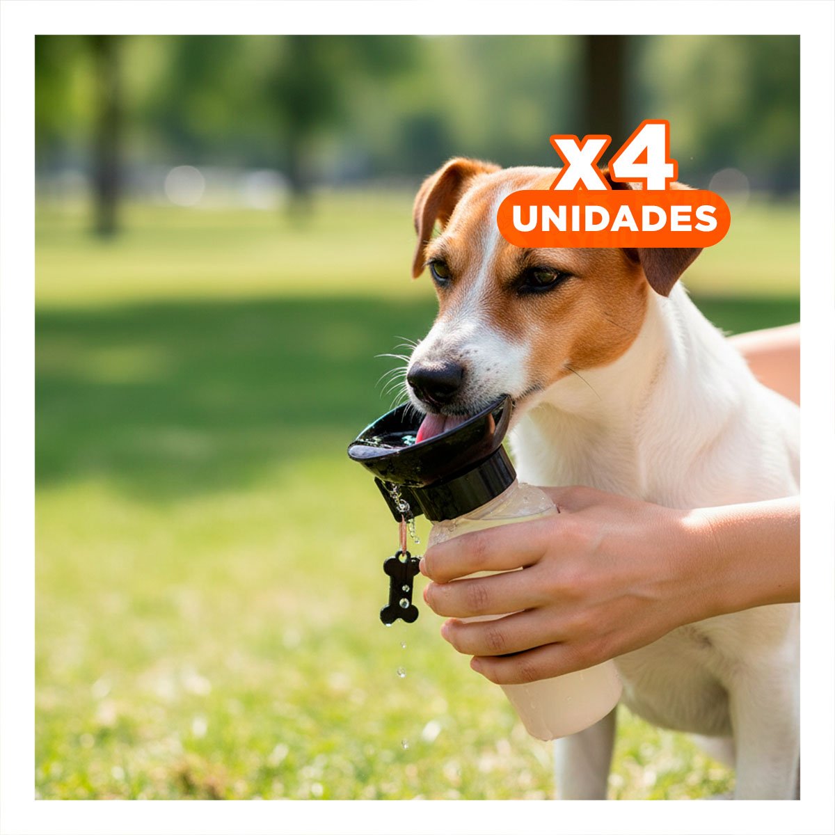 PACK4 BEBEDERO DE AGUA PARA PERRO AQUA DOG GRIS - 1