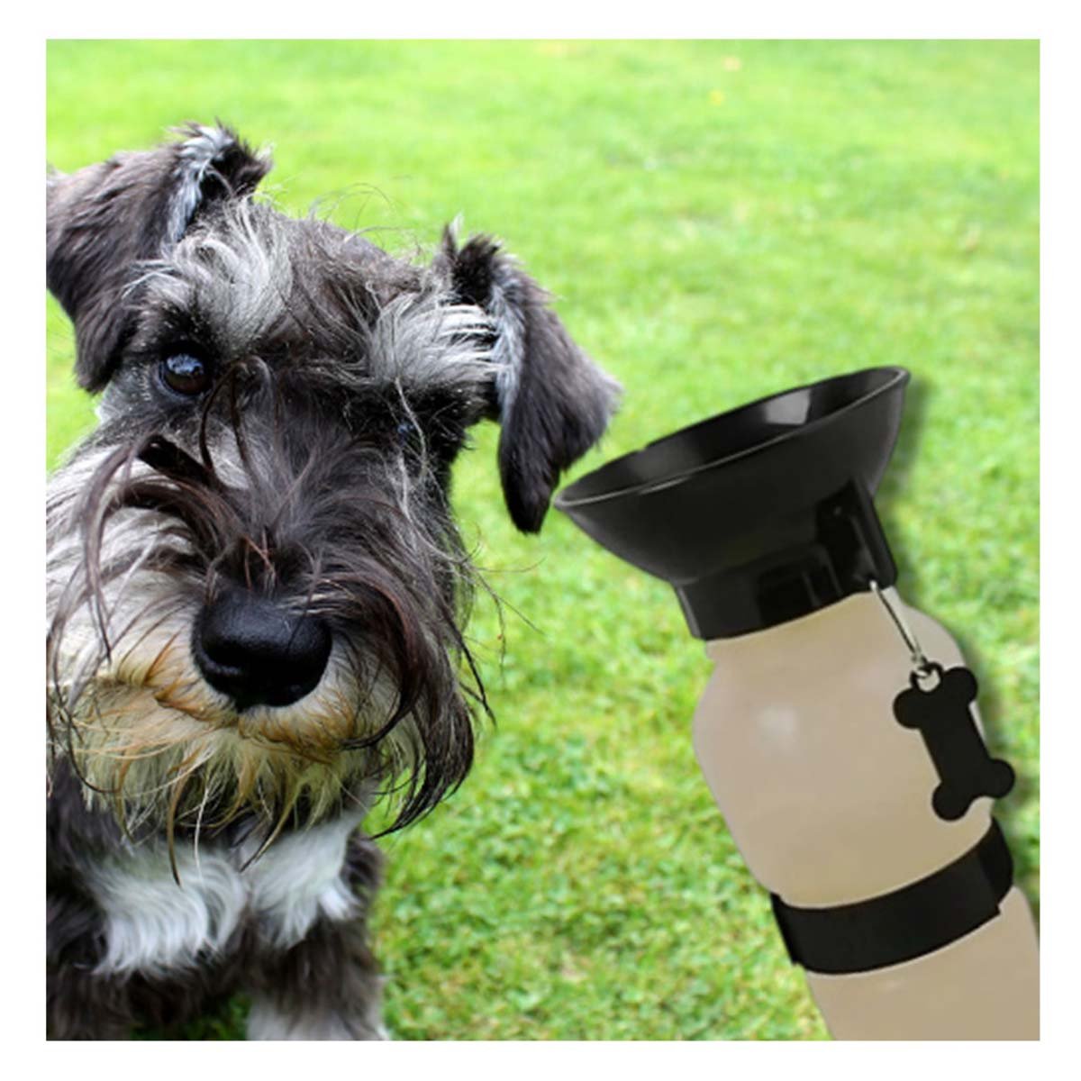 PACK4 BEBEDERO DE AGUA PARA PERRO AQUA DOG GRIS - 3