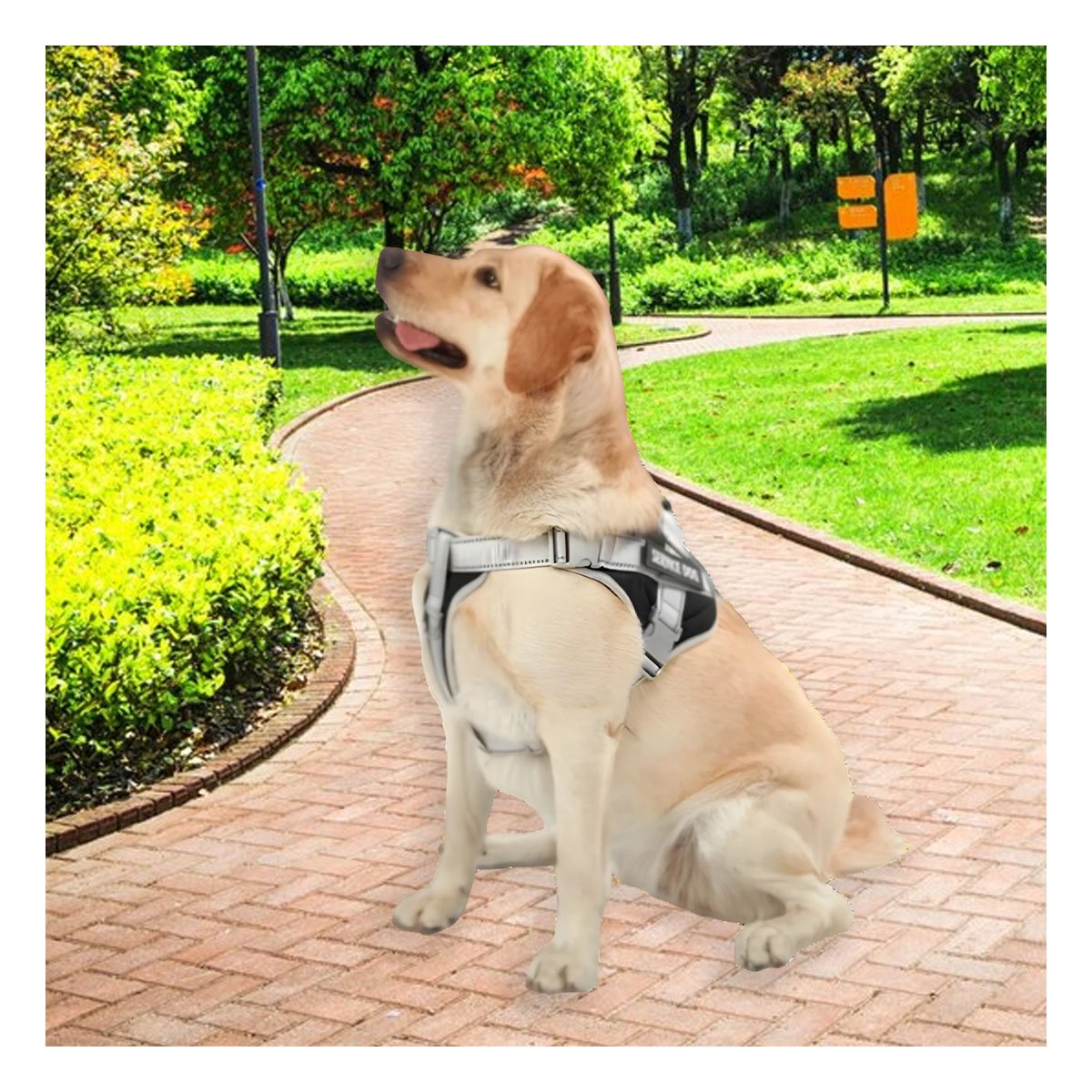 PACK2 CHALECO DE SOPORTE PARA PERRO TALLA S NEGRO CON ASA Y HEBILLAS SEGURAS - 5