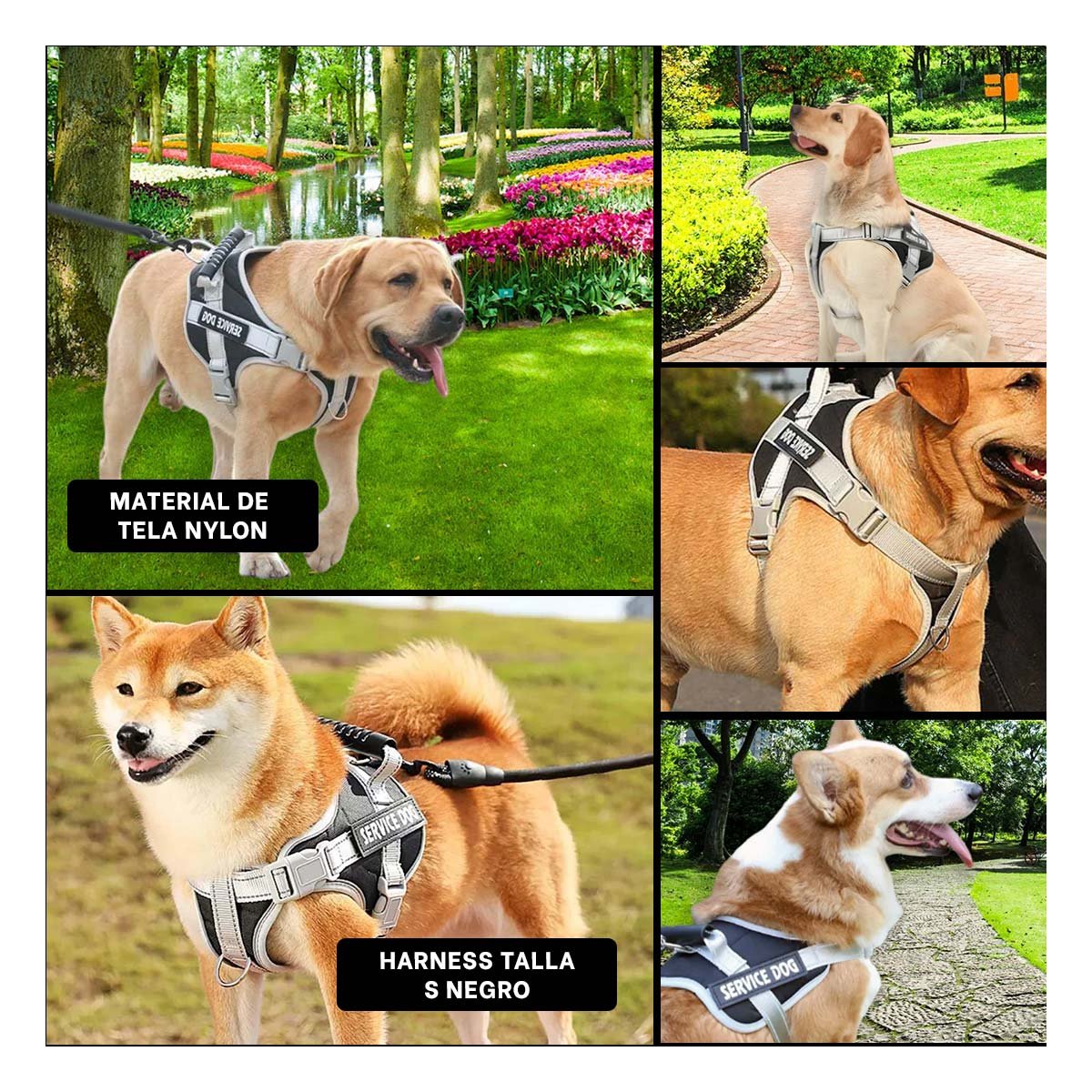 ARNES CON ASA PARA PERRO TALLA S NEGRO ESTILO CHALECO REGULABLE Y+POST IT - 5