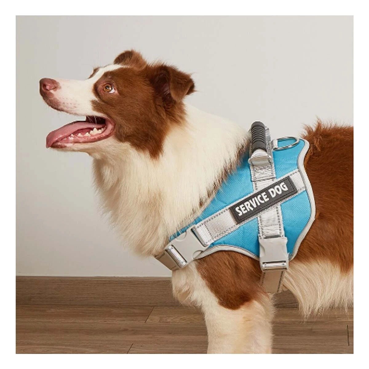 PECHERA DE SOPORTE SERVICE DOG TALLA S TURQUEZA CON ASA Y AJUSTE PRECISO - 2