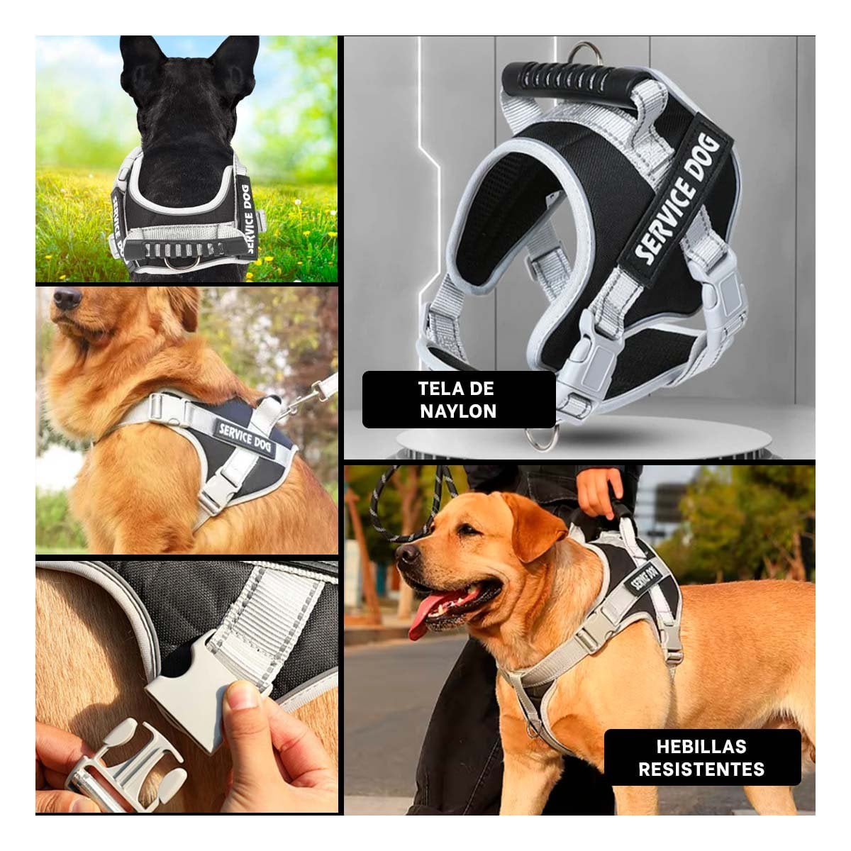 PACK4 CHALECO PROFESIONAL PECHERA ARNES CON ASA SERVICE DOG TALLA M MORADO Y+REGALO STICKER - 2