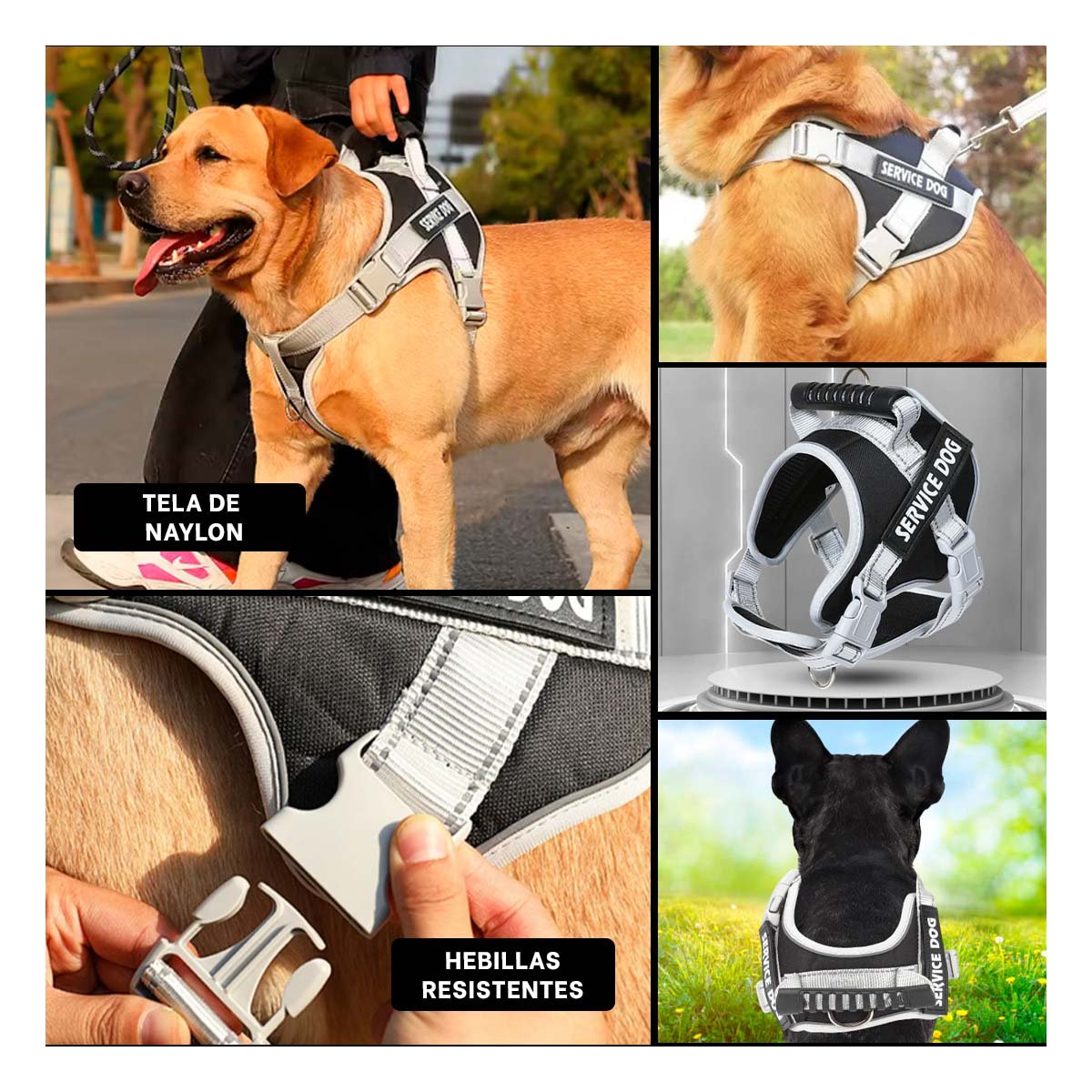 ARNES PROFESIONAL PECHERA CHALECO CON ASA SERVICE DOG TALLA M MORADO PARA PERROS Y+LIGAS REGALO - 5