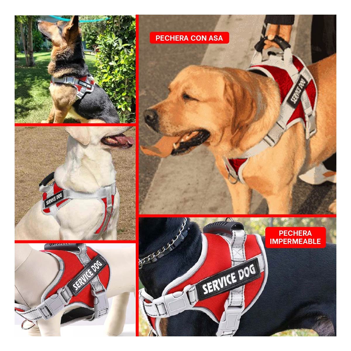 PACK6 PECHERA ACOLCHADA SERVICE DOG TALLA S ROJO CON ASA Y SOPORTE ESTABLE Y+PAPEL REGALO - 3