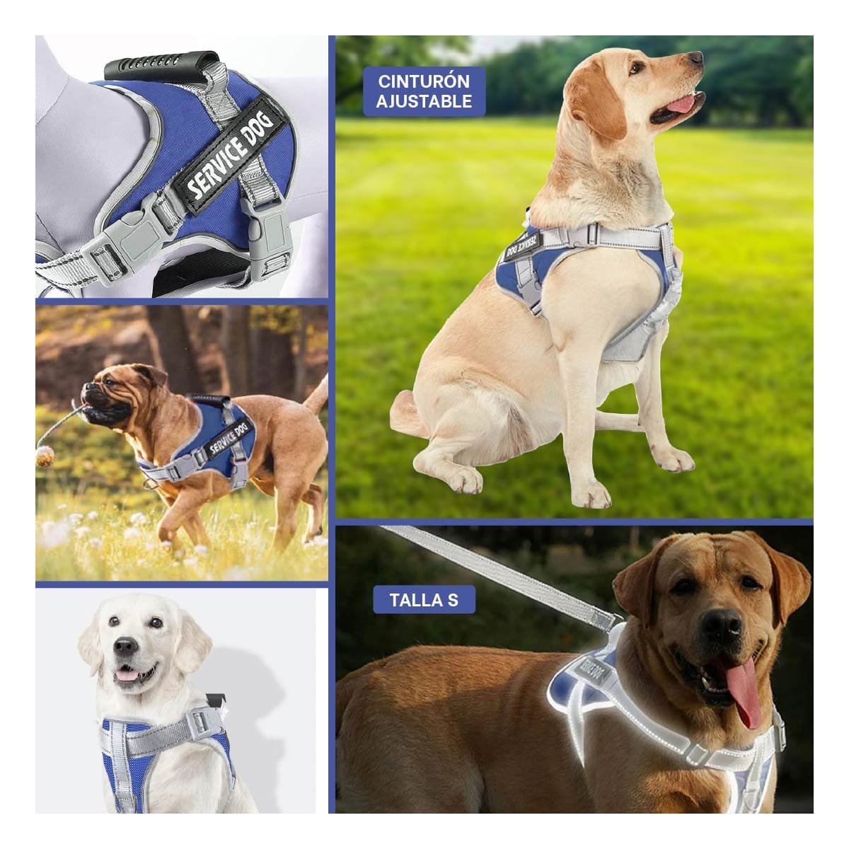 ARNES CON ASA SERVICE DOG TALLA S AZUL CON CORREAS FIRMES Y+POST IT - 5
