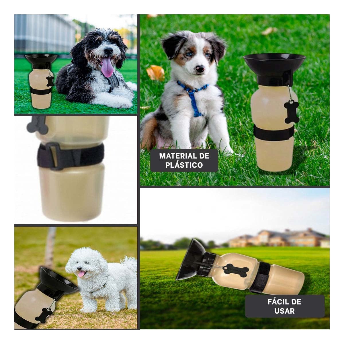 ENVASE DE AGUA PARA PERRO AQUA DOG GRIS PRACTICO Y+POST IT - 5