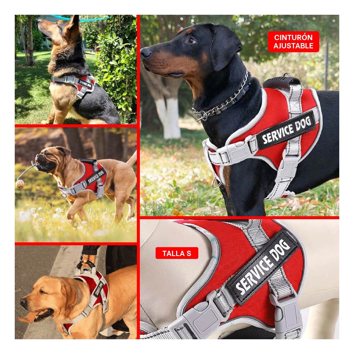 ARNES CON ASA SERVICE DOG TALLA S ROJO CON CORREAS FIRMES Y+POST IT - 5