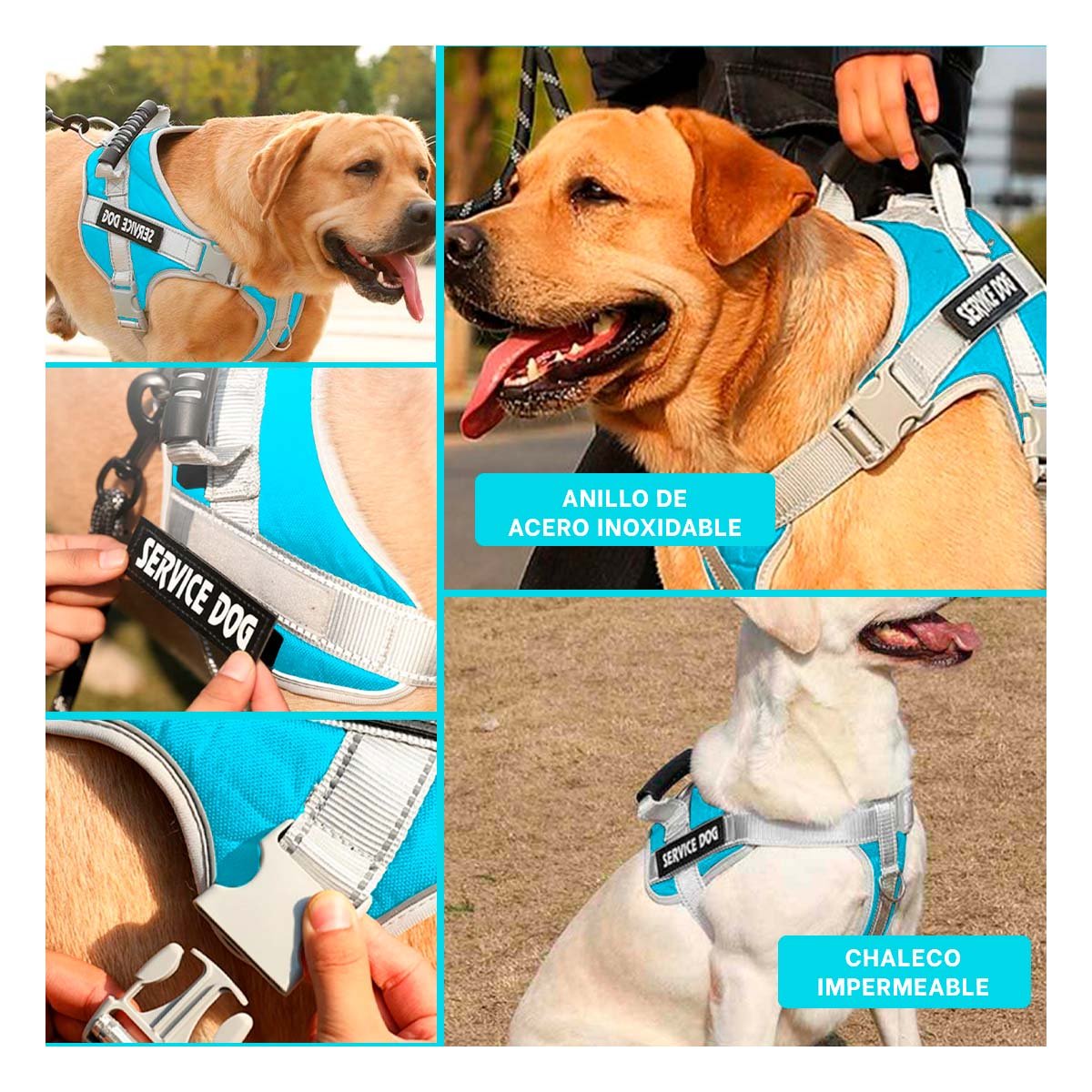 HARNESS DE CONTROL CON ASA TIPO CHALECO PARA PERRO SERVICE DOG TALLA M TURQUEZA Y+LIGAS REGALO - 5