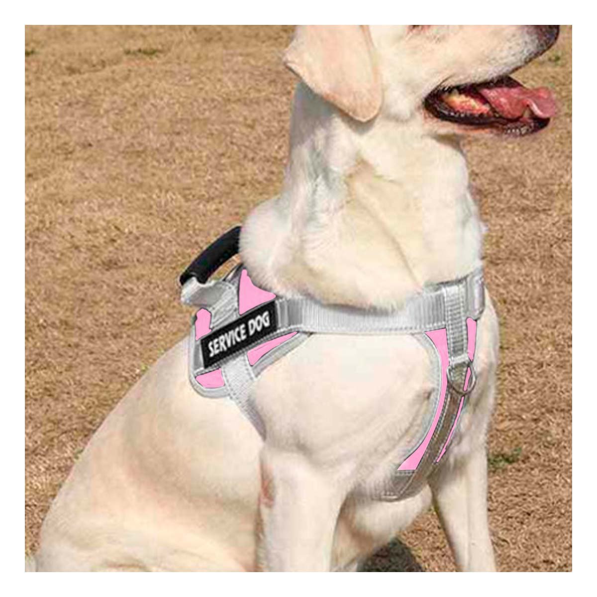 PACK2 HARNESS DE PASEO CON ASA PARA PERRO SERVICE DOG TALLA M ROSADO CLARO Y+REGALO STICKER - 5