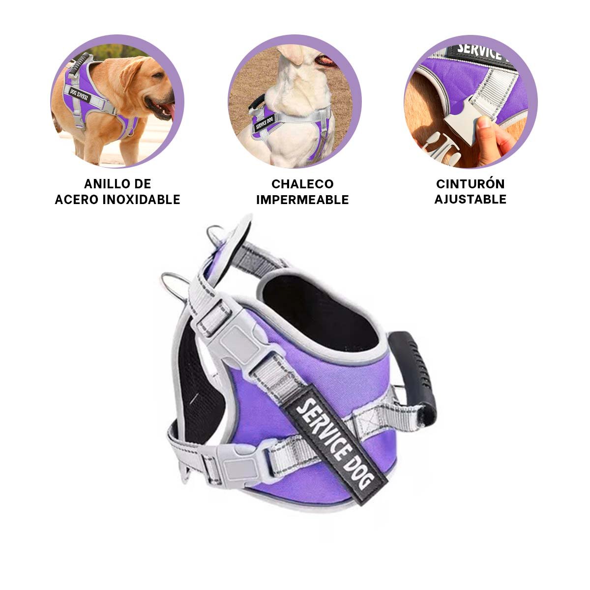 ARNES SEGURO PECHERA CHALECO CON ASA TALLA M MORADO CON REFLECTANTE - 3