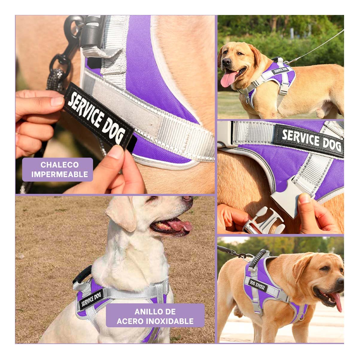 ARNES SEGURO PECHERA CHALECO CON ASA TALLA M MORADO CON REFLECTANTE - 5