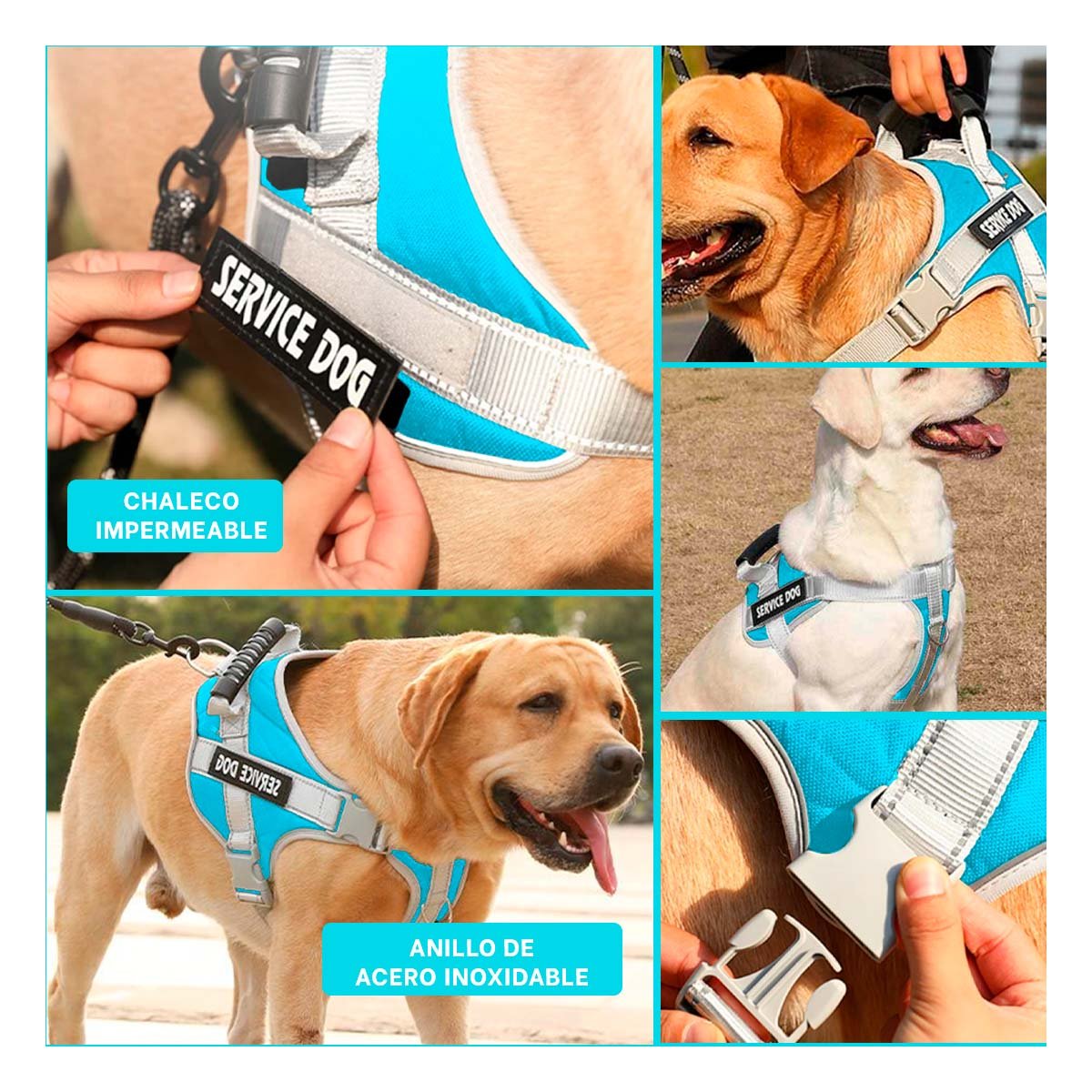 PACK4 ARNES CON ASA TIPO CHALECO PARA PERRO SERVICE DOG TALLA M TURQUEZA Y+REGALO STICKER - 2