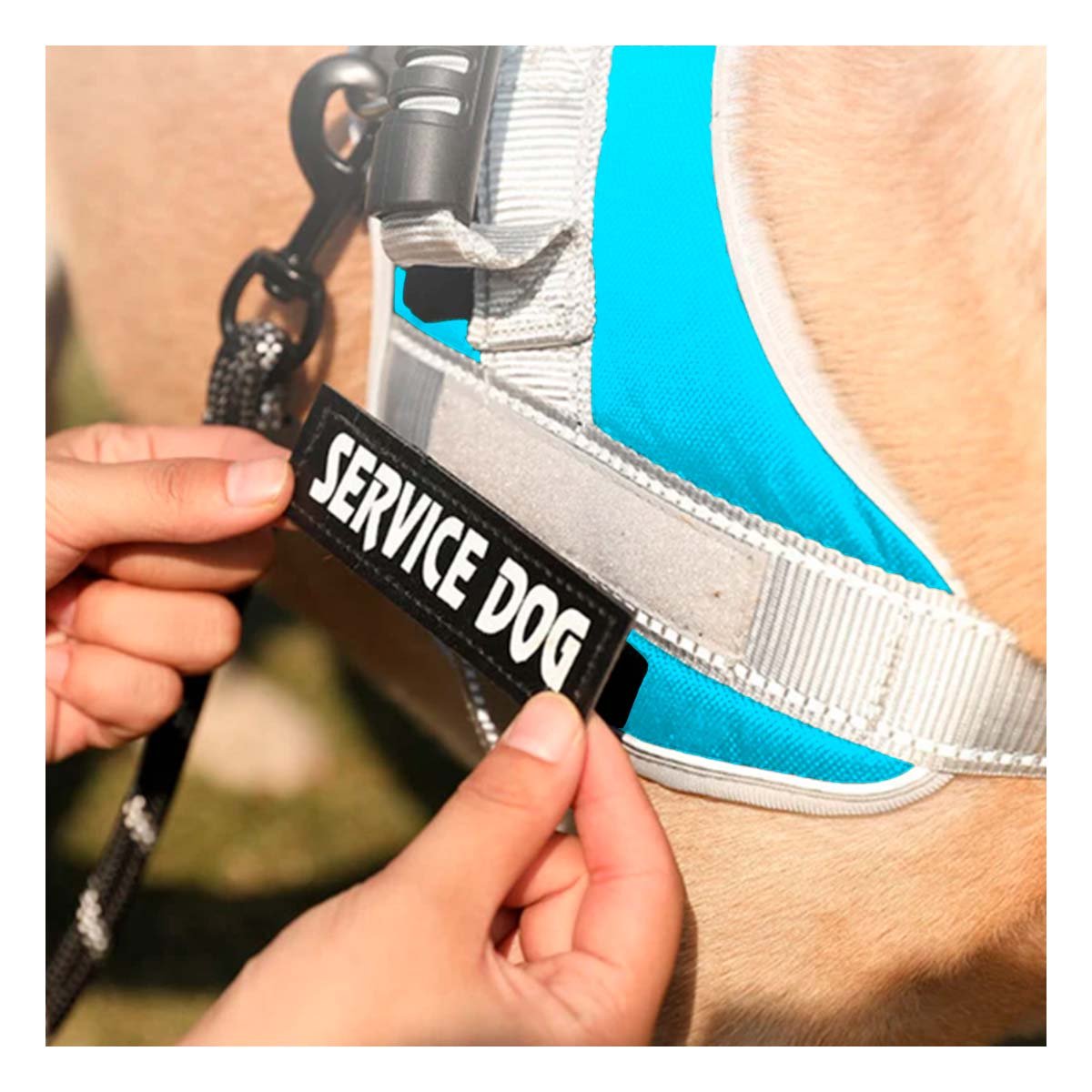 PACK4 ARNES CON ASA TIPO CHALECO PARA PERRO SERVICE DOG TALLA M TURQUEZA Y+REGALO STICKER - 3